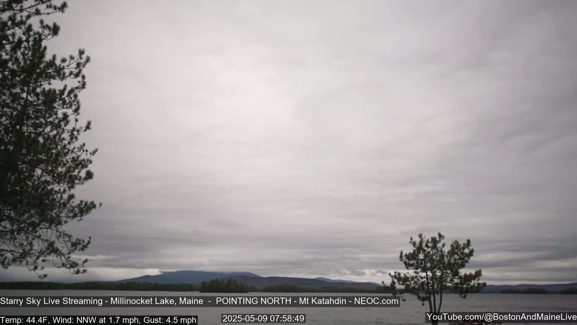 A calm lake with distant mountains is seen under an overcast sky.