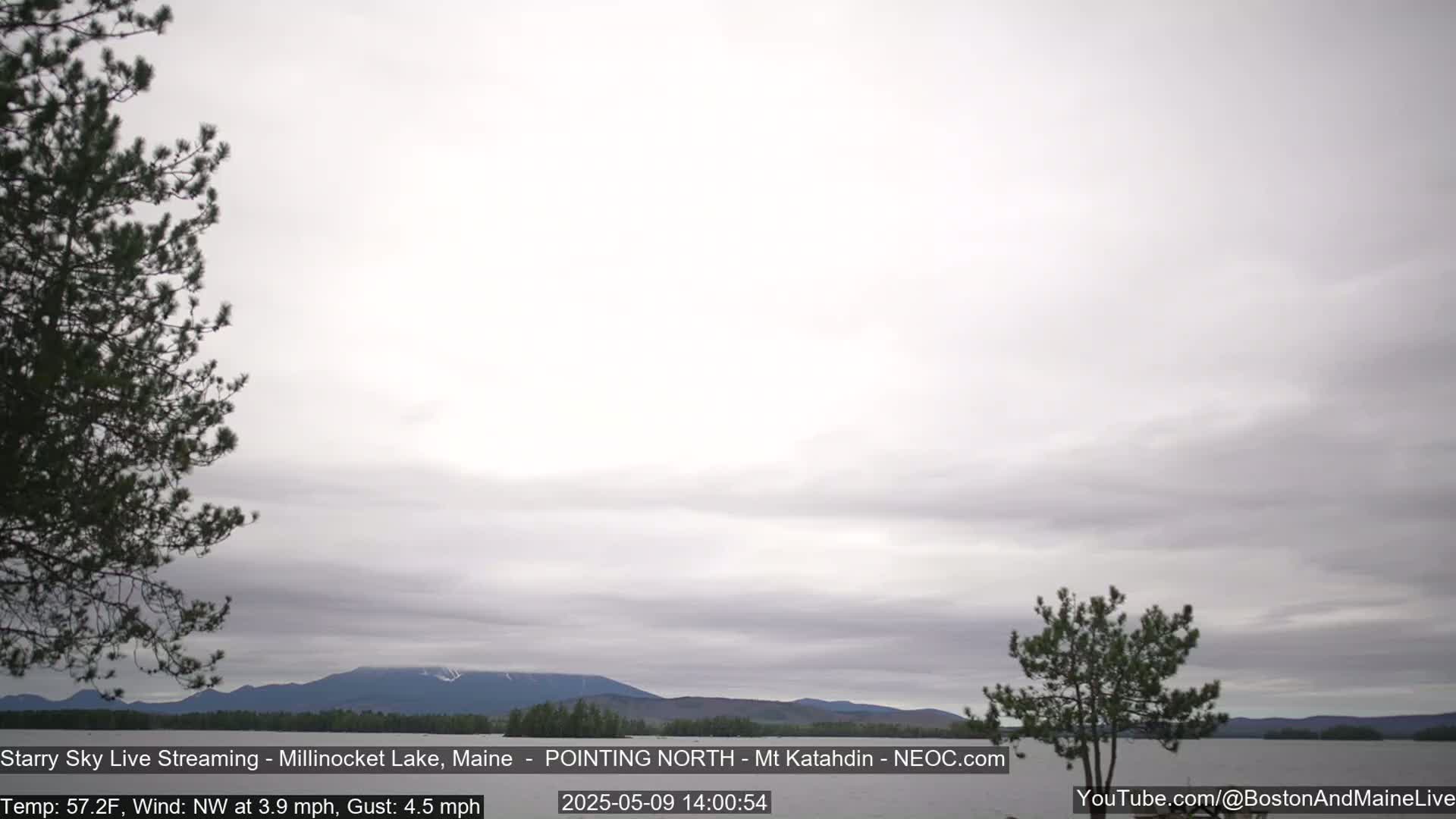 A calm lake with a distant mountain range under an overcast sky, framed by two dark evergreen trees.