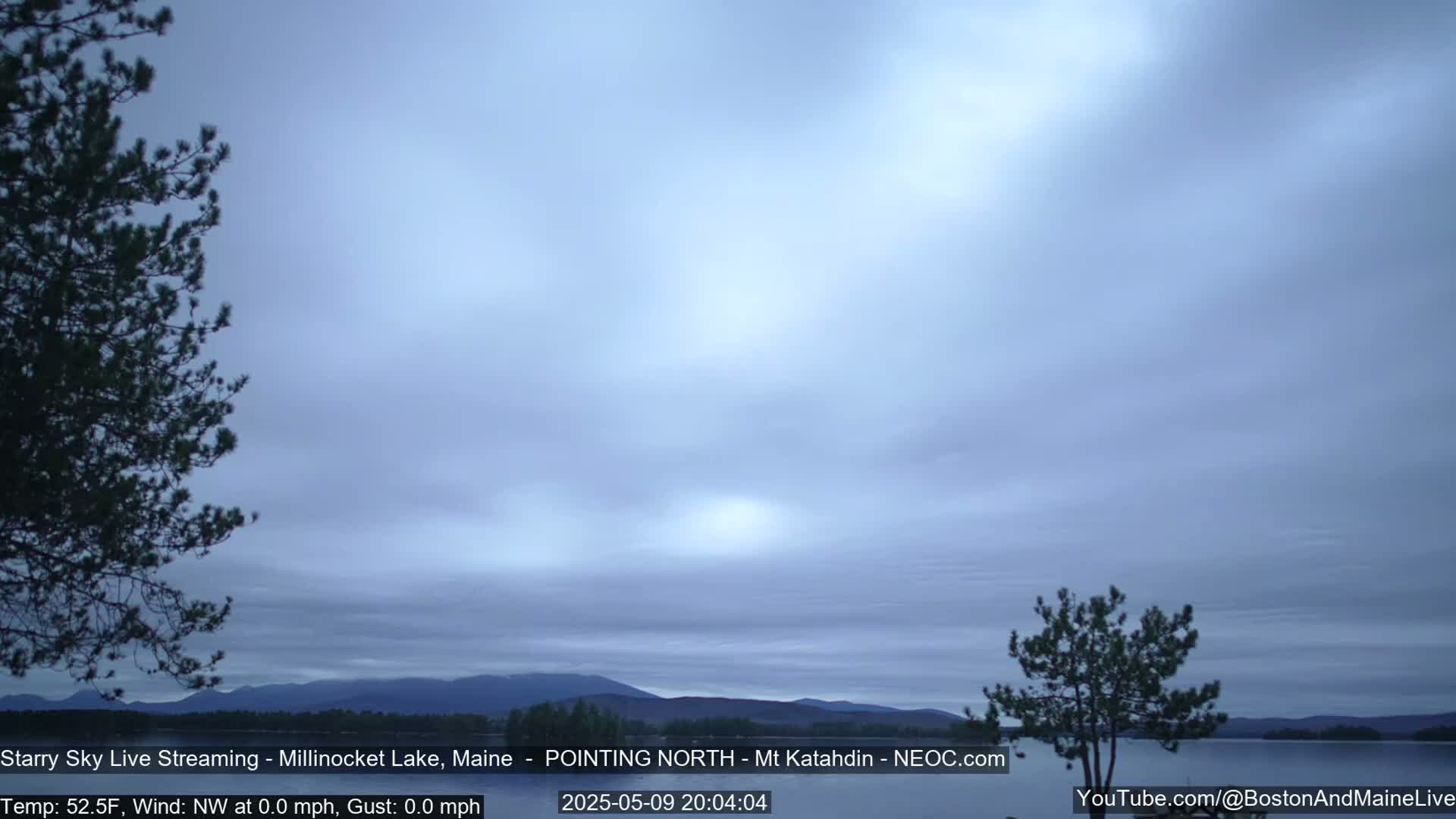 A calm, overcast evening scene shows a lake with distant mountains under a pale blue sky, framed by dark evergreen trees.