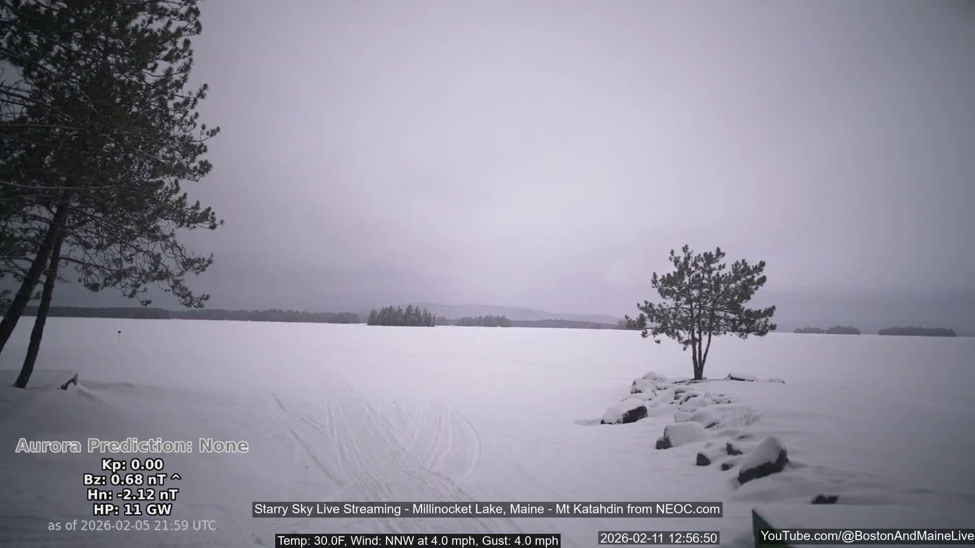 Millinocket Lake, Stars, Aurora, Meteors Live Cam  from Mt Katahdin -  Maine  USA