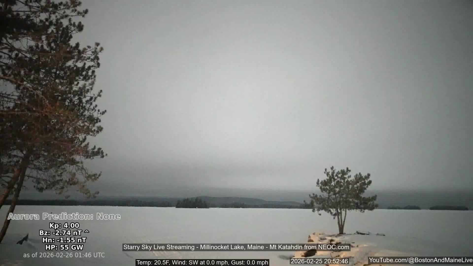 Millinocket Lake, Stars, Aurora, Meteors Live Cam  from Mt Katahdin -  Maine  USA