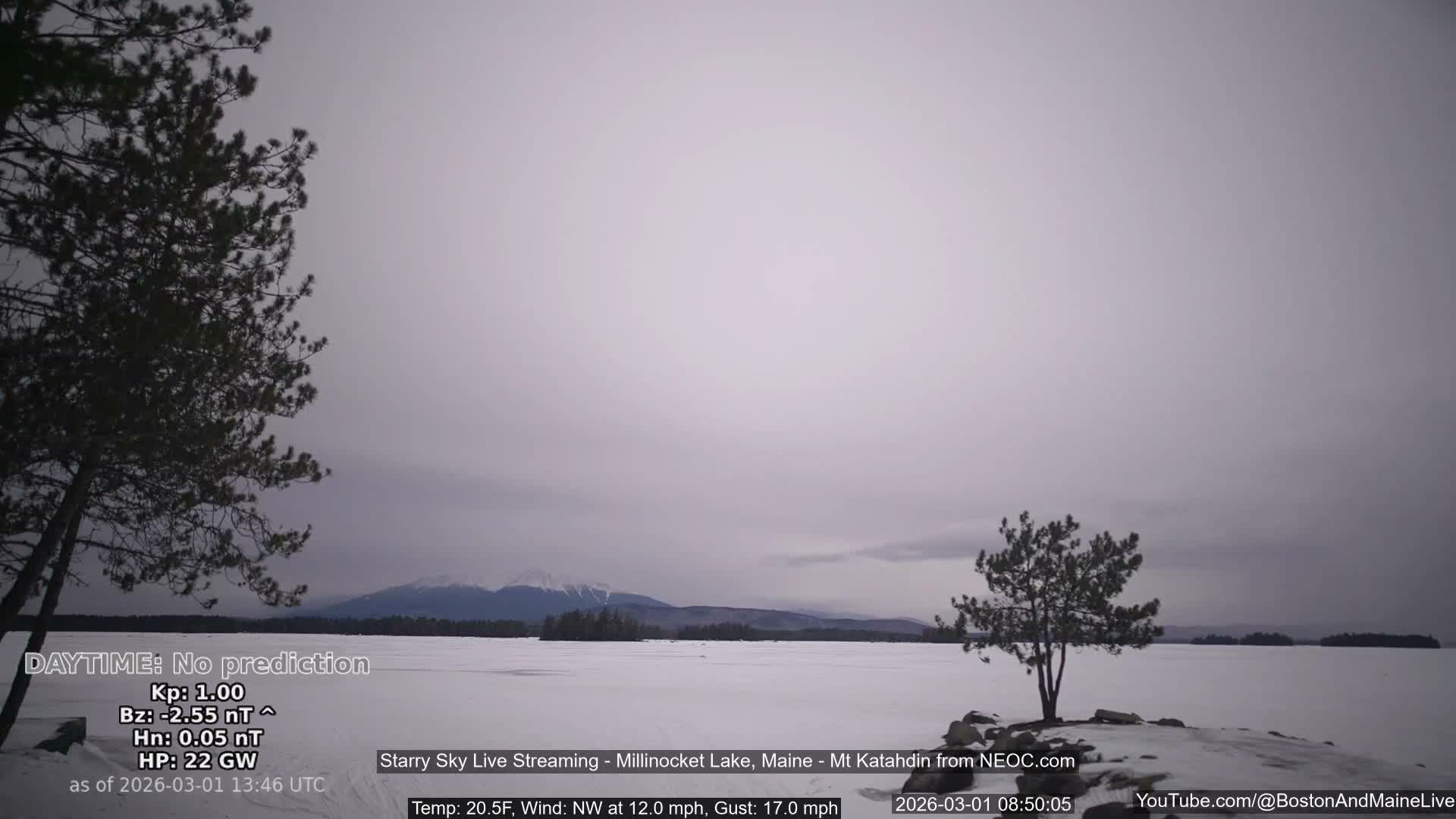 Millinocket Lake, Stars, Aurora, Meteors Live Cam  from Mt Katahdin -  Maine  USA