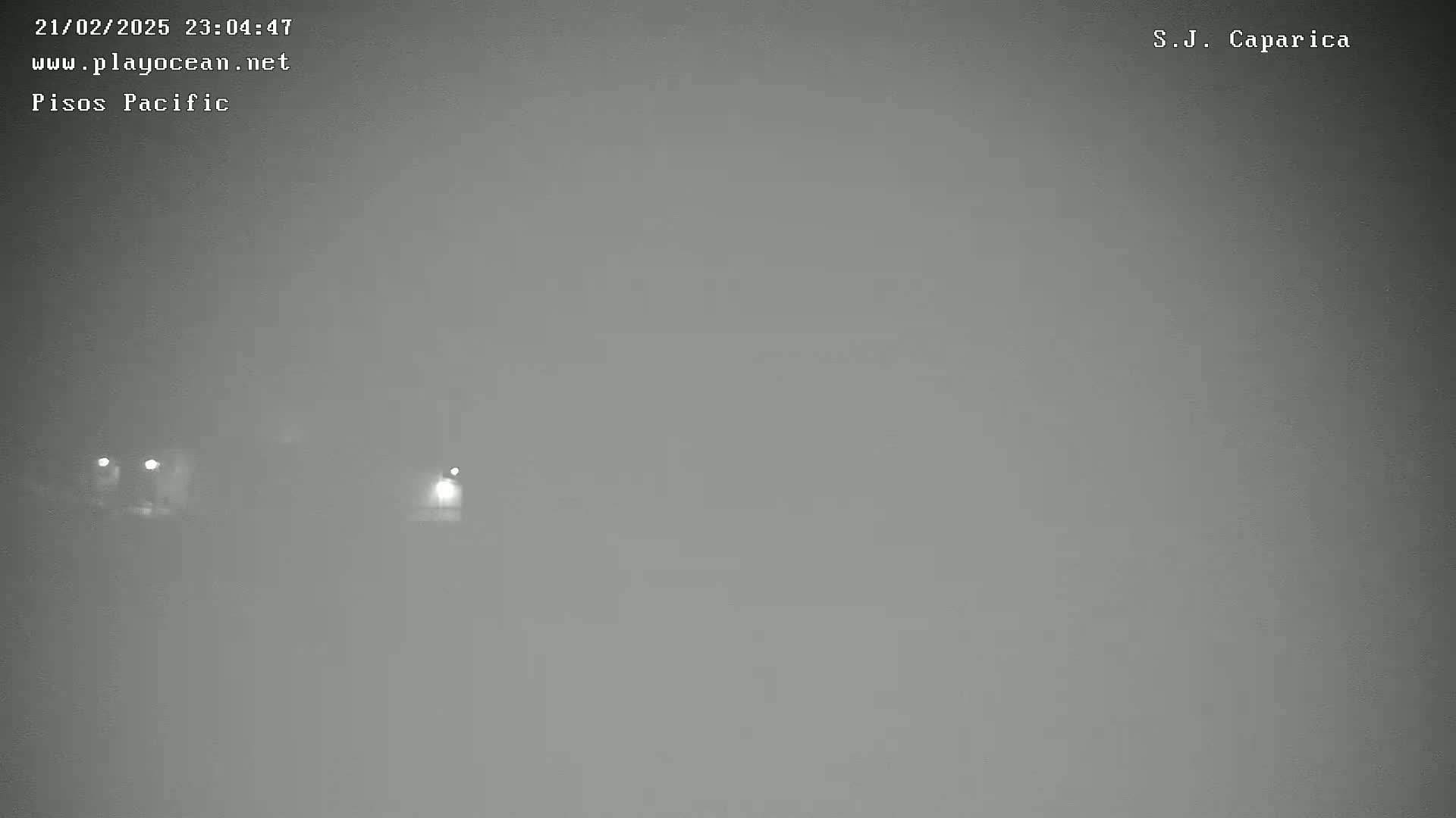 A foggy, nighttime scene shows faint lights in the distance.