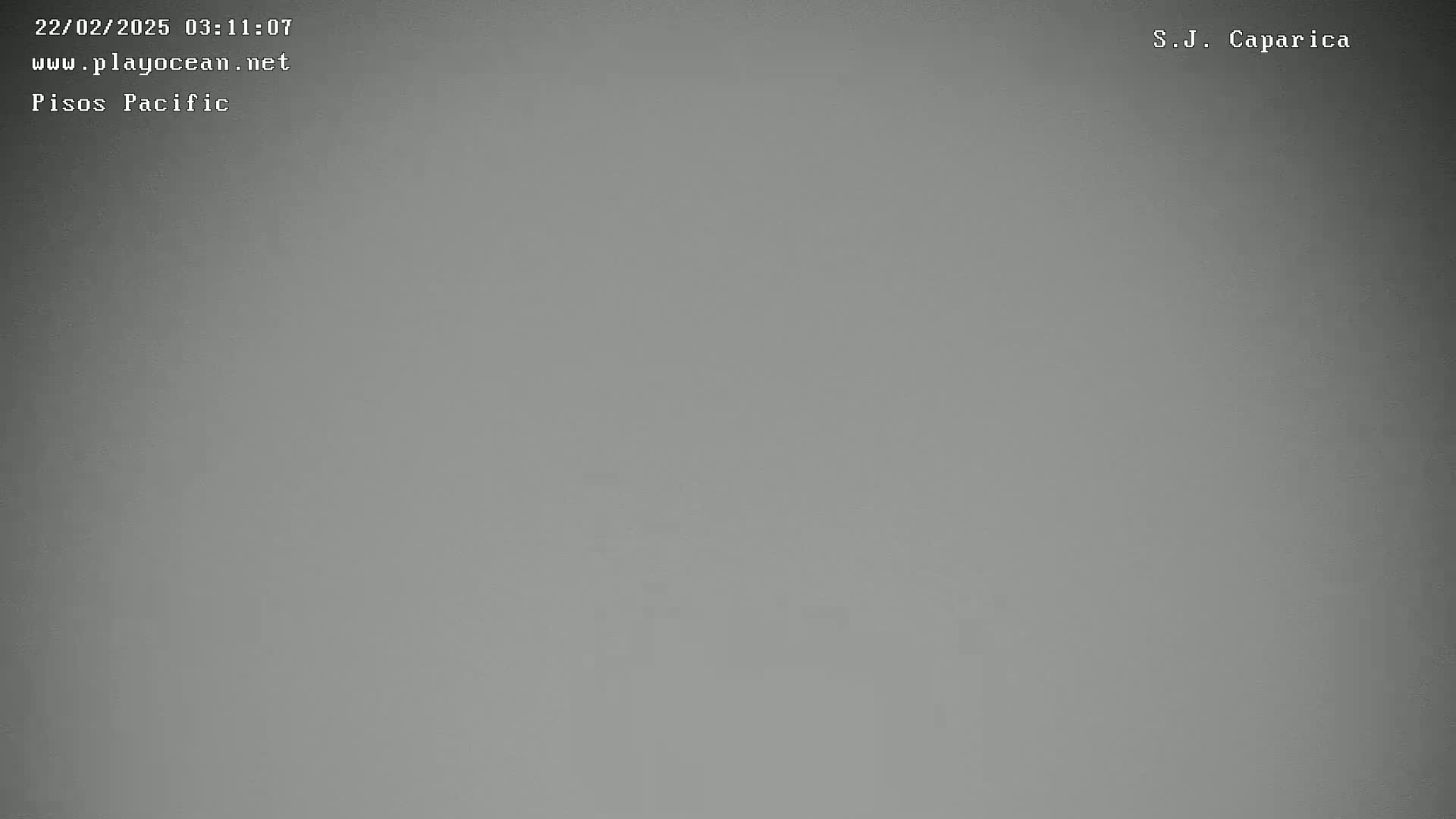 A solid, uniformly gray image is shown.