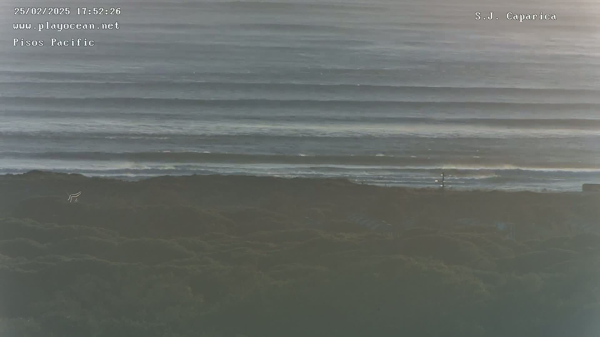 A long, somewhat hazy view of the ocean shows a series of parallel waves rolling toward a dark shoreline covered with low-lying vegetation.