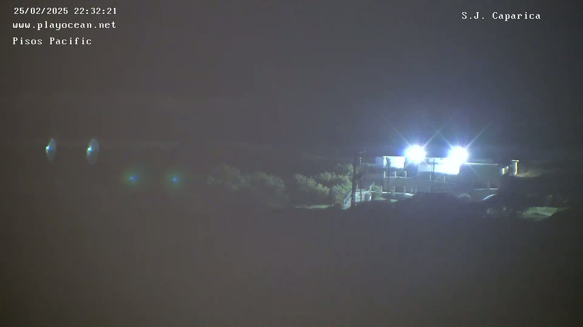 A brightly lit building is visible at night, partially obscured by dark vegetation in the foreground.