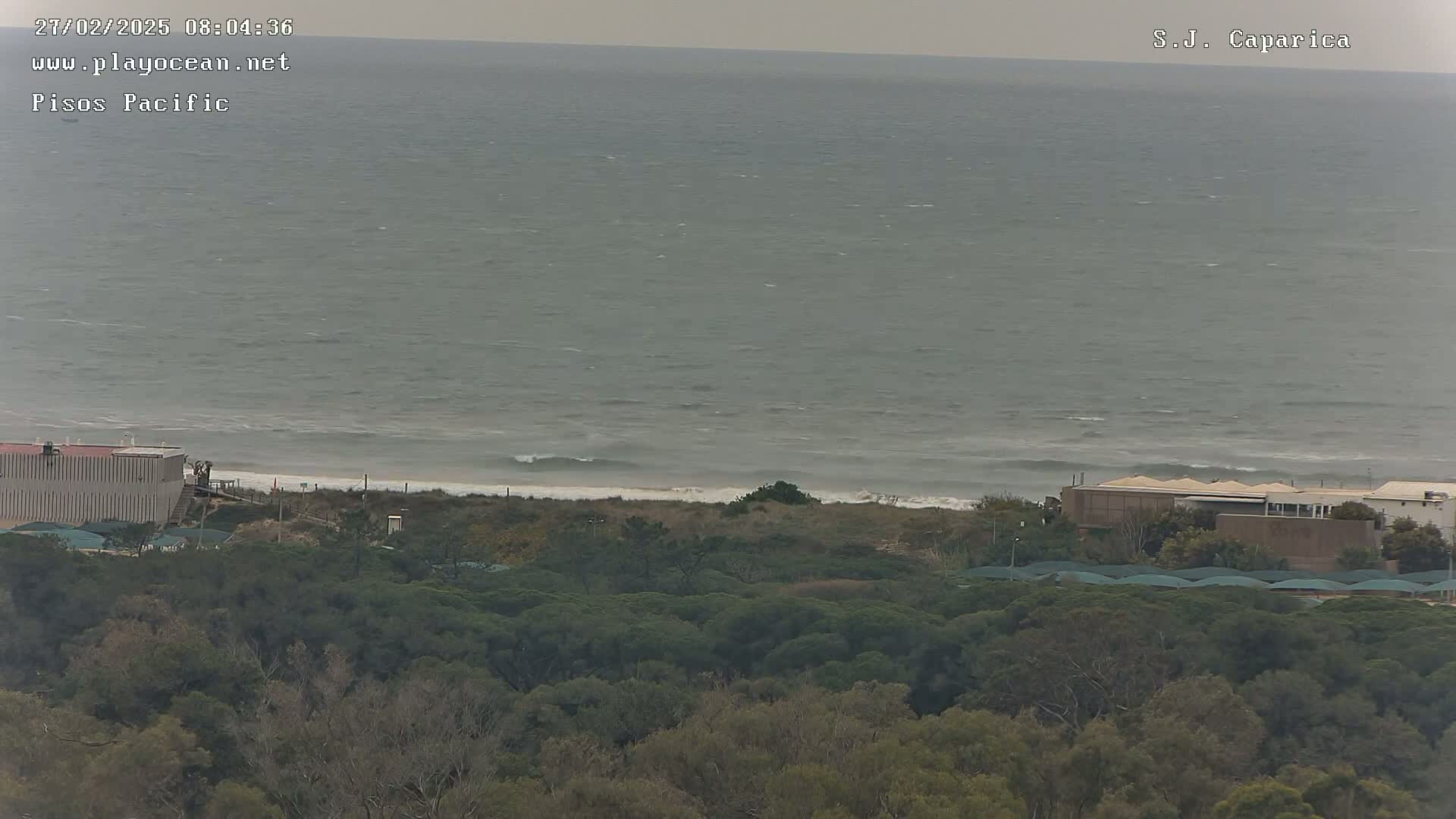 A gray, overcast sky overlooks a beach with small waves, sandy shore, and a line of dark green trees and buildings beyond.