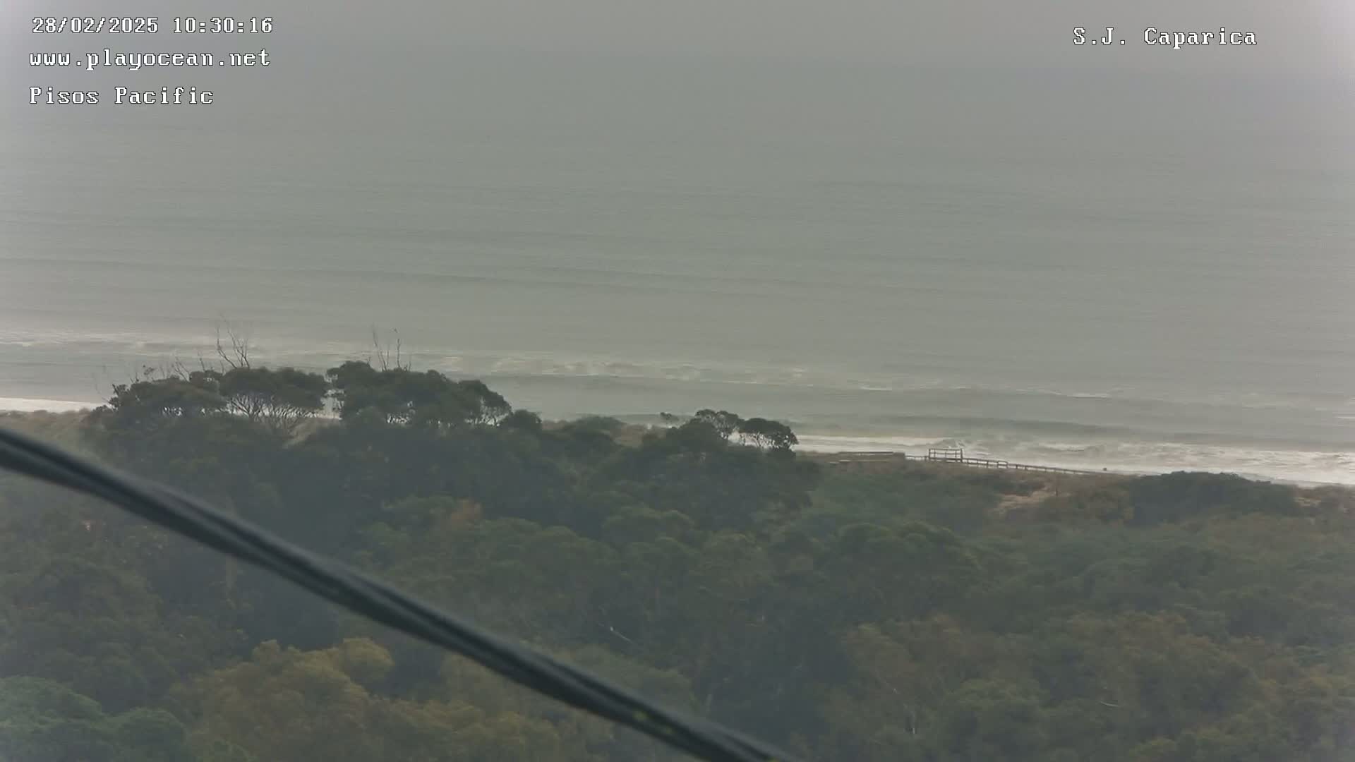 A hazy, overcast view shows a beach with small waves, overlooked by a dense line of dark green trees.