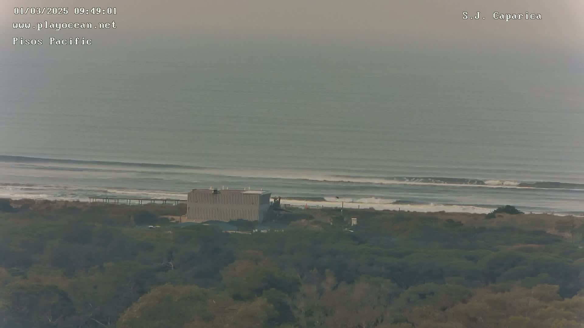 A hazy, overcast day reveals a long expanse of ocean with small waves breaking near a sandy shore, behind which sits a building surrounded by dark green trees.
