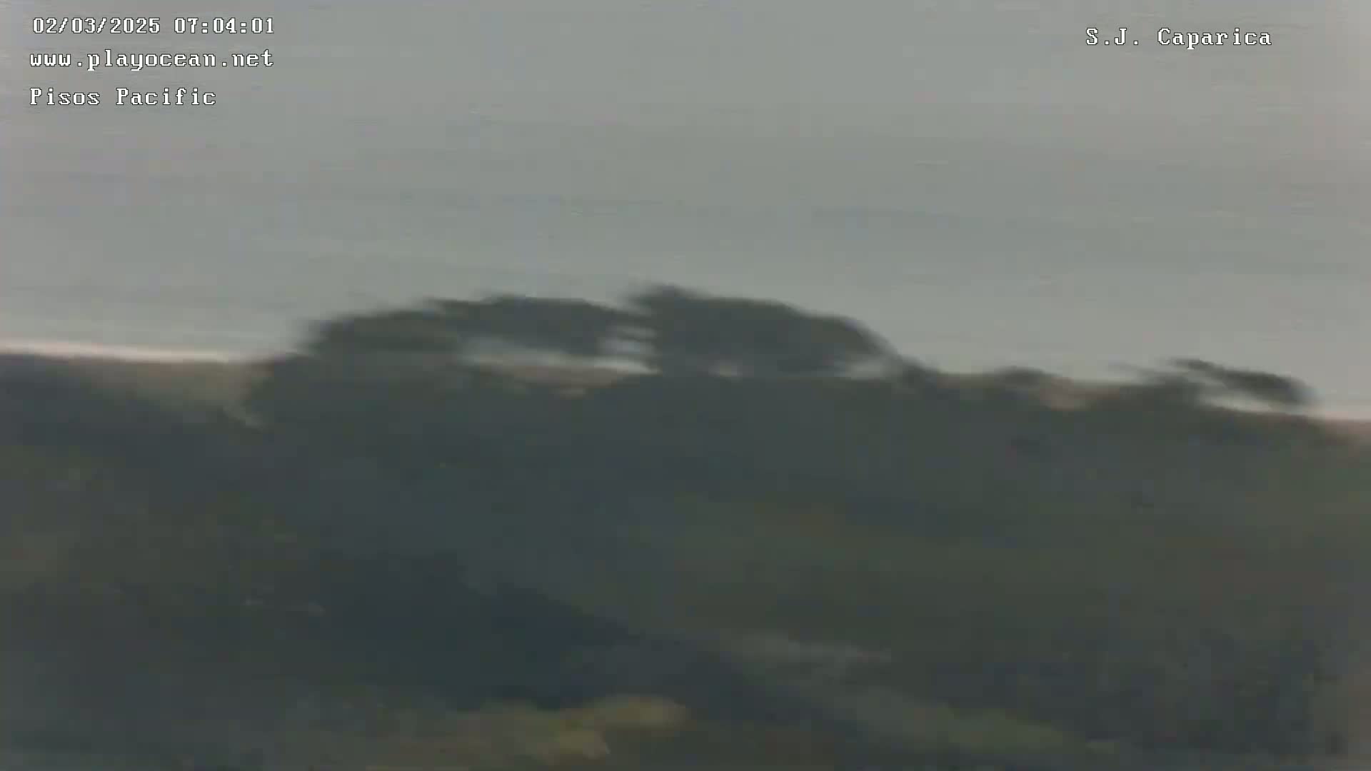 A blurry image shows dark green vegetation atop a hill overlooking a hazy, light-colored beach under an overcast sky.