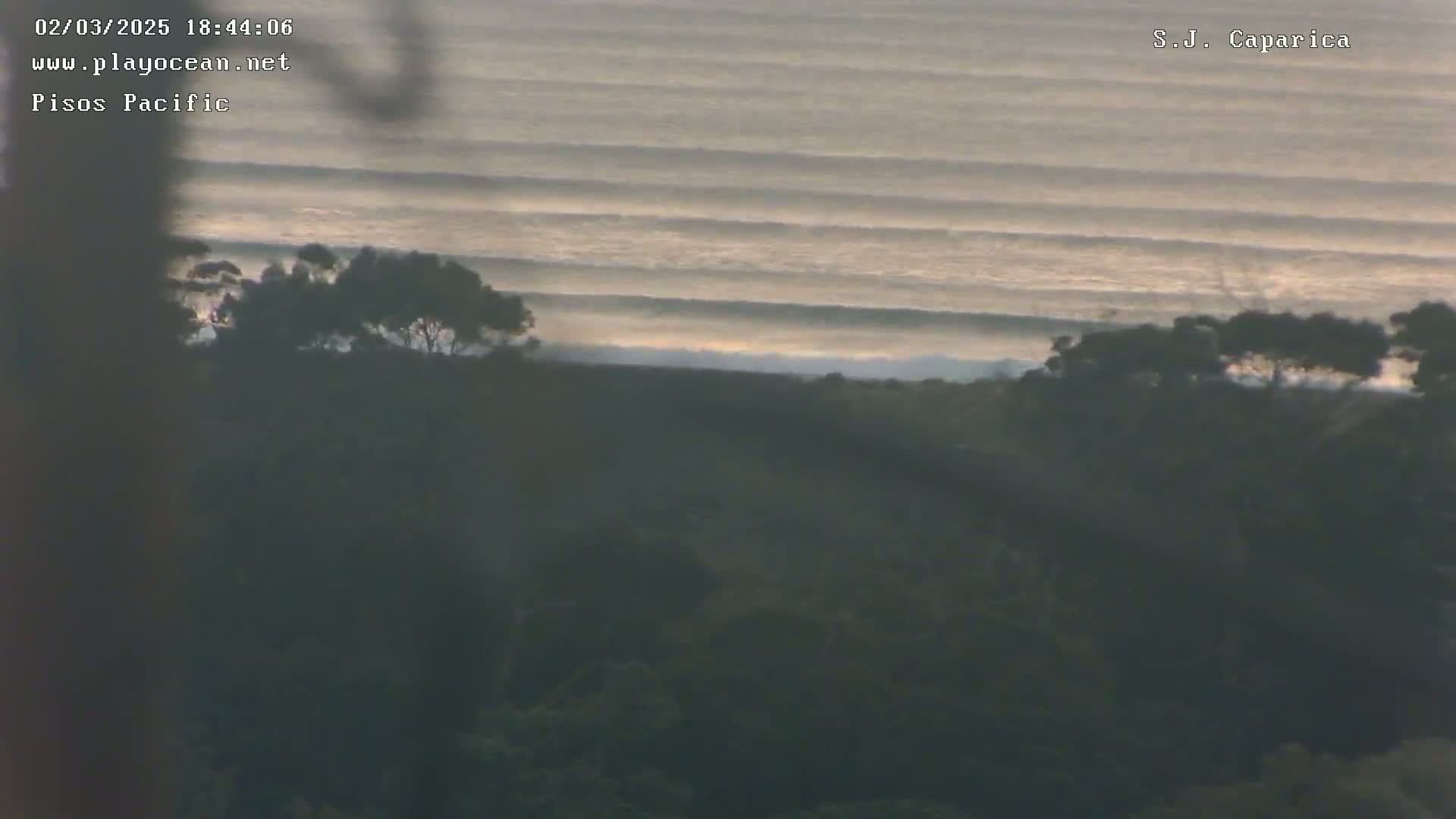 A high-angle, long shot shows a calm ocean with small waves rolling in toward a shoreline of dark green trees under a dusky, sunrise sky.