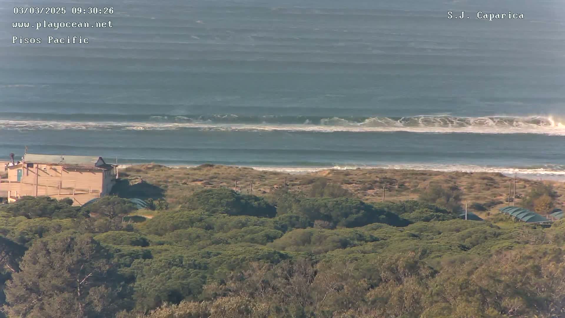A tan building sits behind a dense, green forest overlooking a beach with ocean waves breaking in the distance under a clear sky.