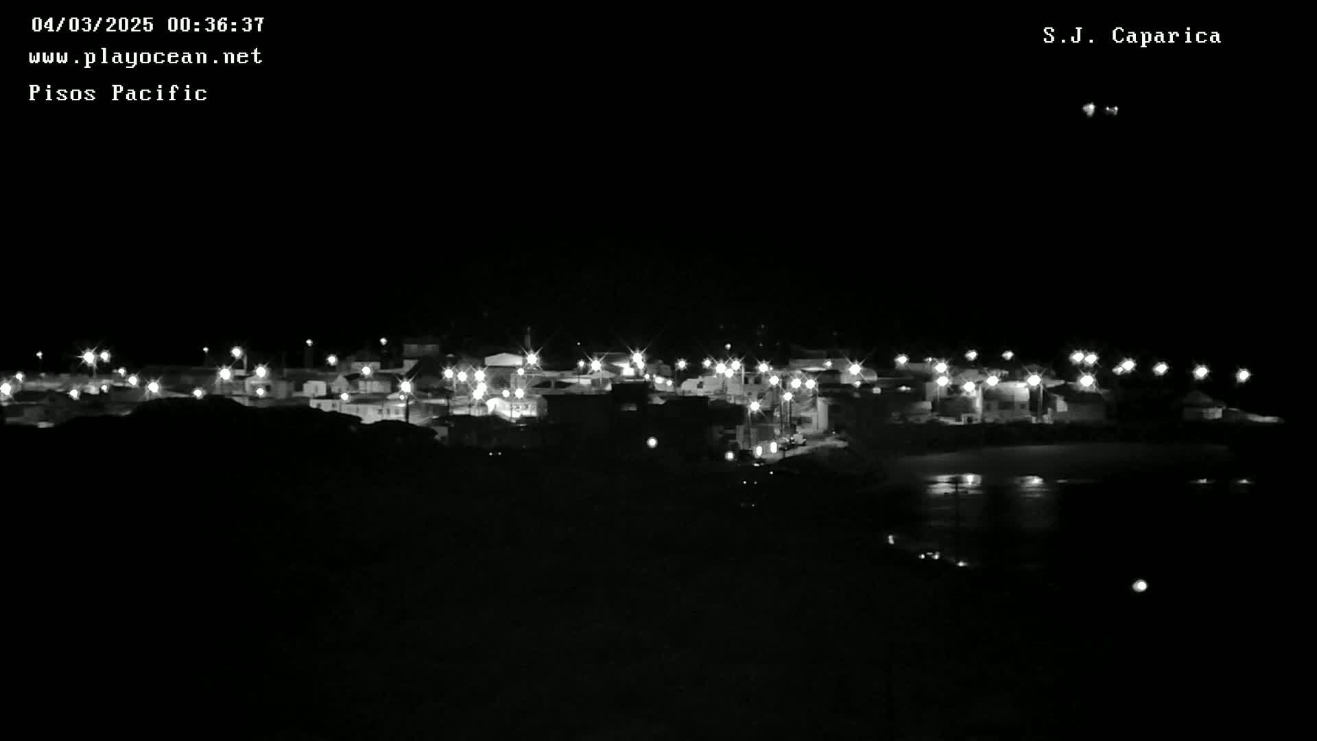 A nighttime long shot shows a collection of houses illuminated by lights, situated near a body of dark water under a clear, dark sky.