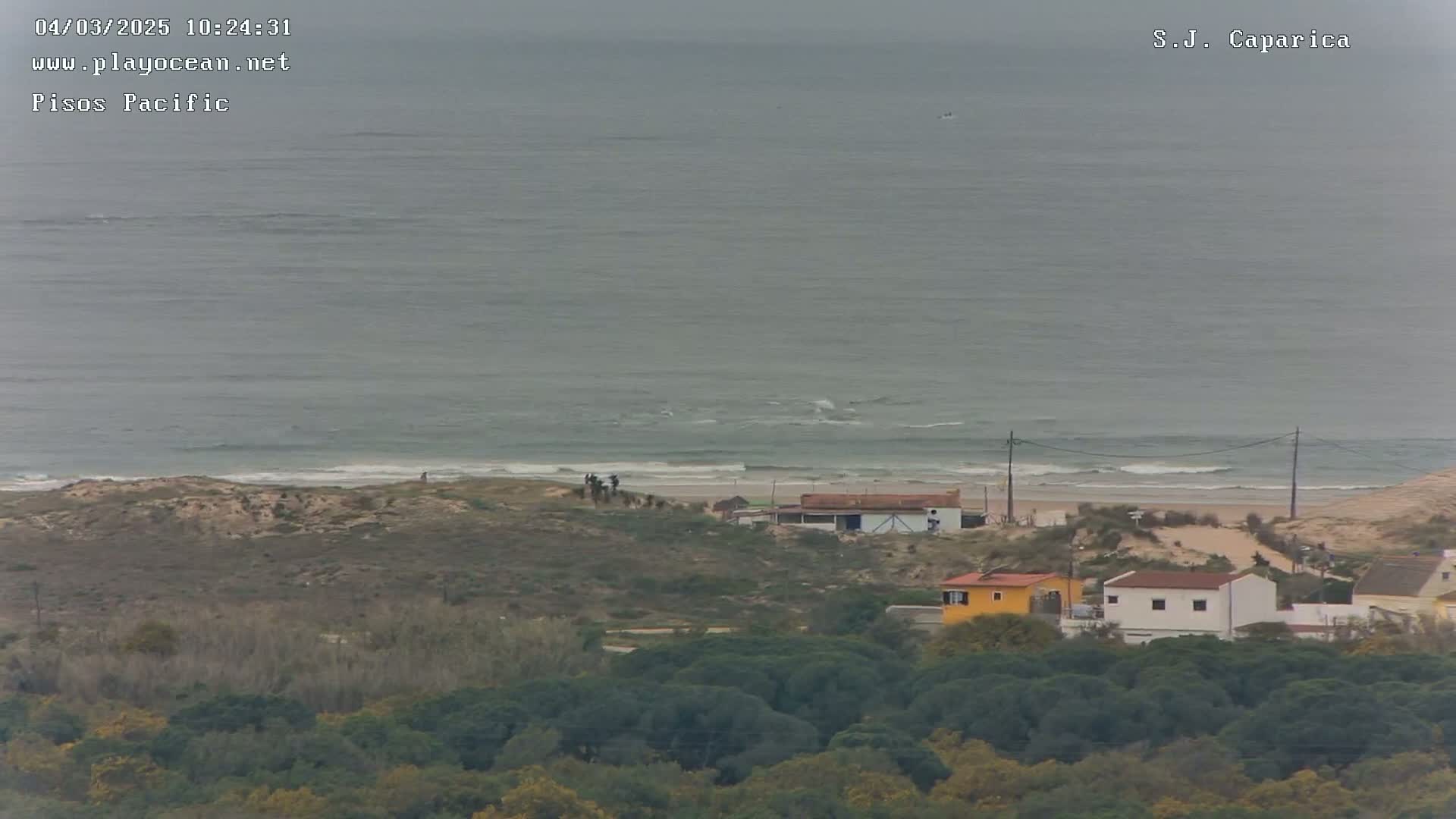 A gray, overcast day shows a beach with a few people walking on the sand near some buildings and a dune covered with low vegetation, all overlooked by a forest.