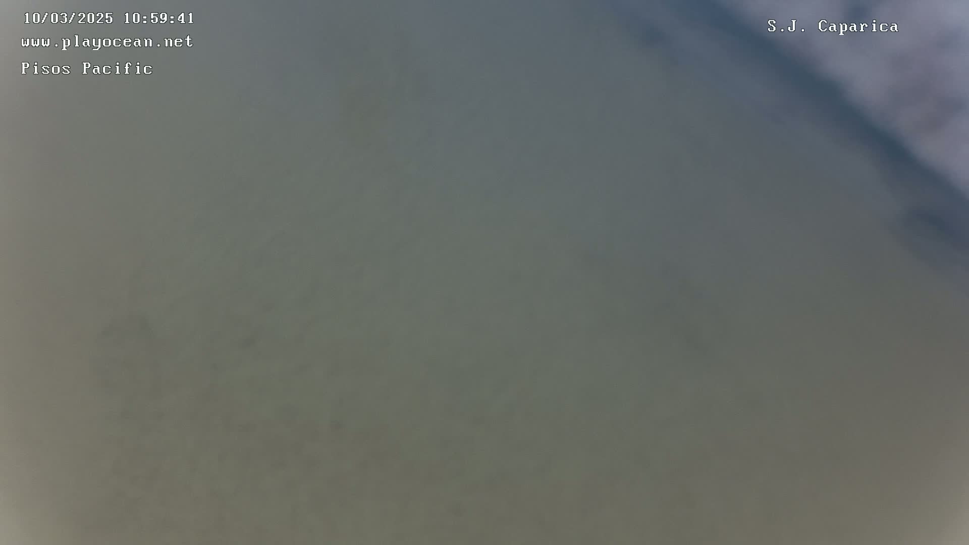 A blurry, overcast view of a muted gray-green expanse of water.