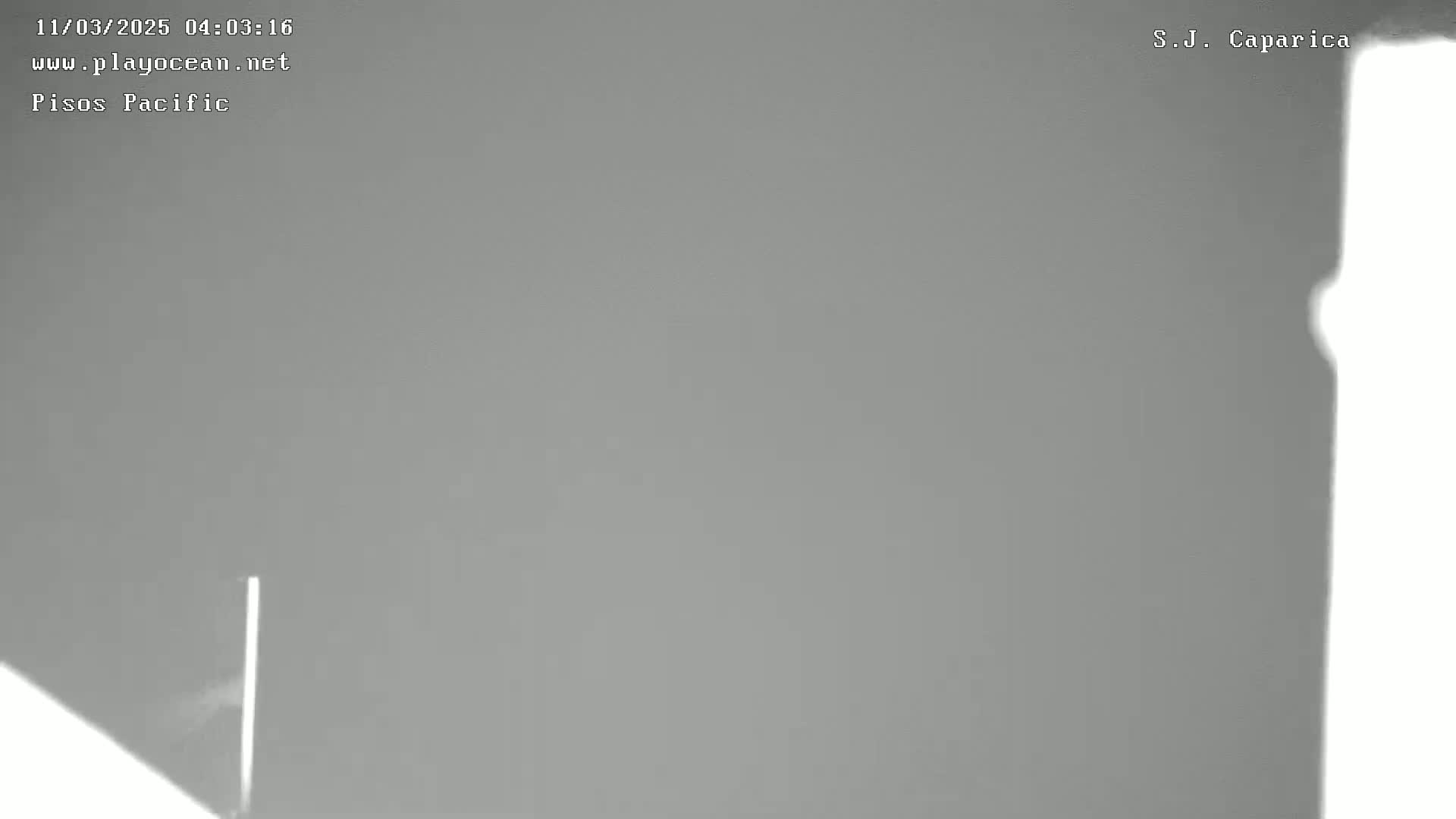 A mostly overcast gray sky is visible, with a thin, bright vertical line appearing near the bottom left corner of the image.
