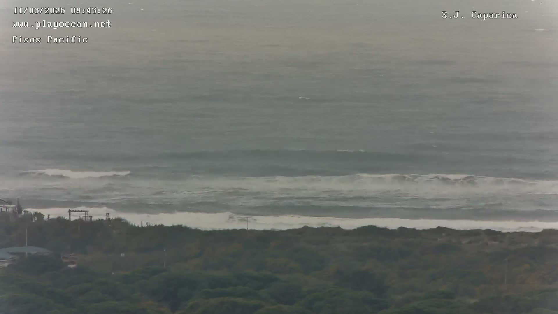 A high-angle view shows a grey, overcast day with moderately sized waves breaking on a shoreline covered with dark green vegetation.