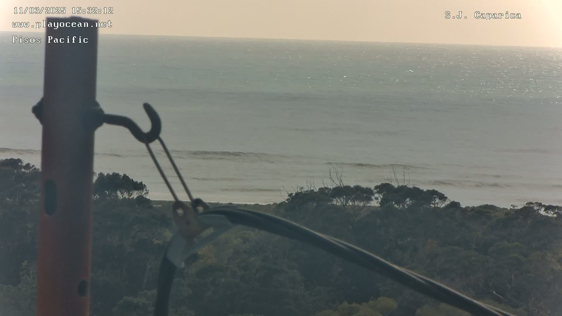 A calm ocean with small waves is visible from a high vantage point, showing a line of dark trees and shrubs along the coast under a hazy sky.