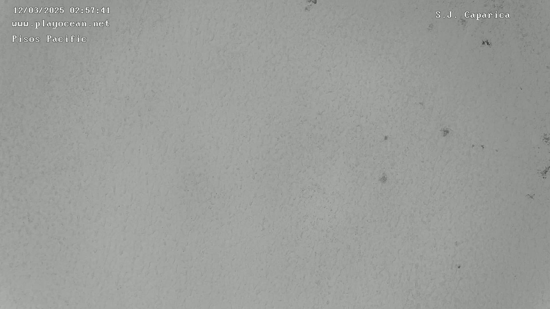 A close-up view of a textured, light-gray surface.