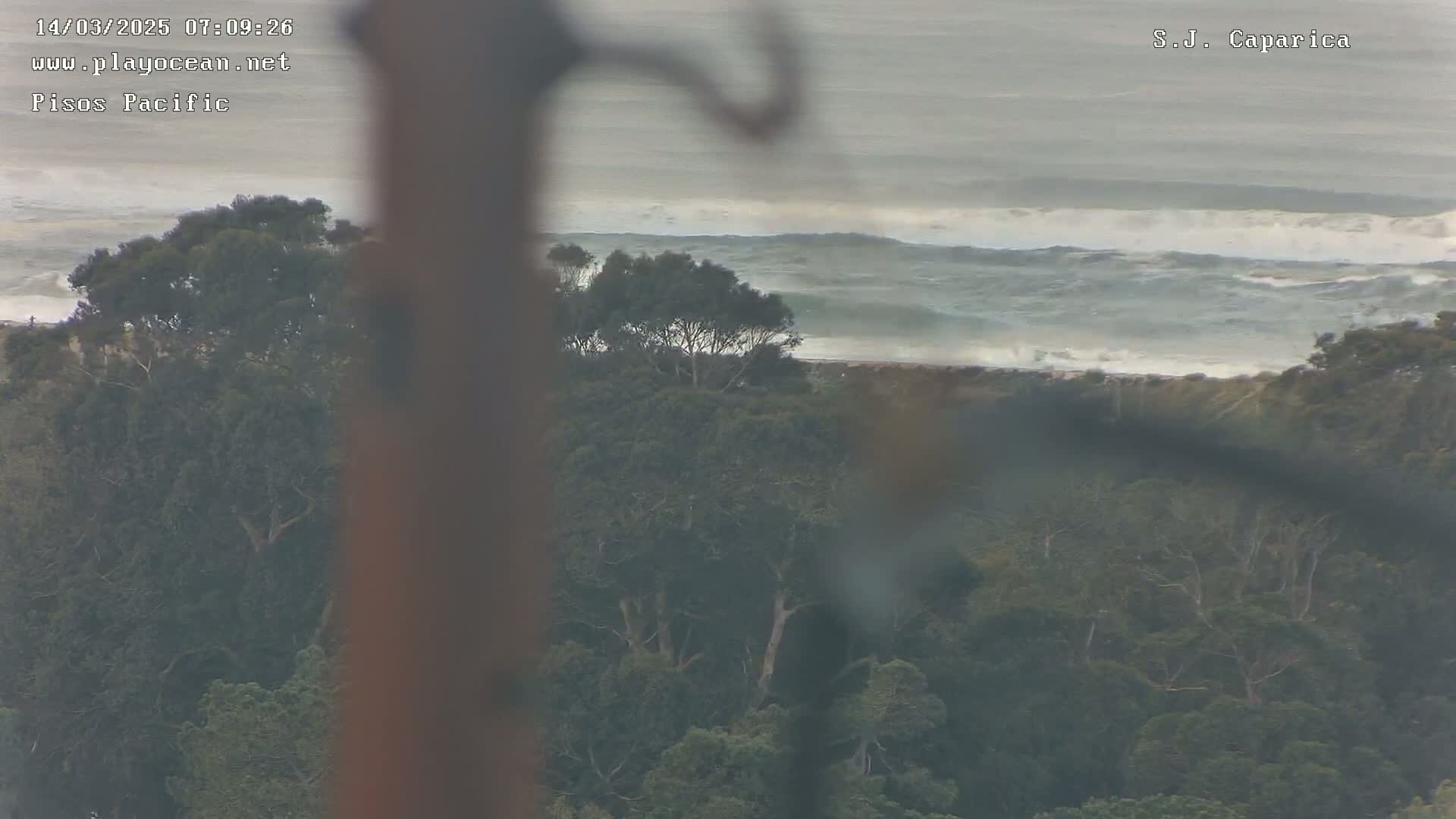 A view of a dark, overcast ocean with waves crashing on a shoreline, partially obscured by a foreground of dark green trees.