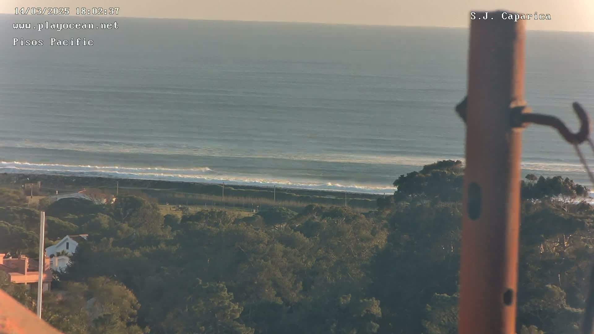 A calm ocean with small waves gently rolling onto a sandy shore, viewed from an elevated position overlooking a line of trees and houses under a clear, possibly sunset, sky.