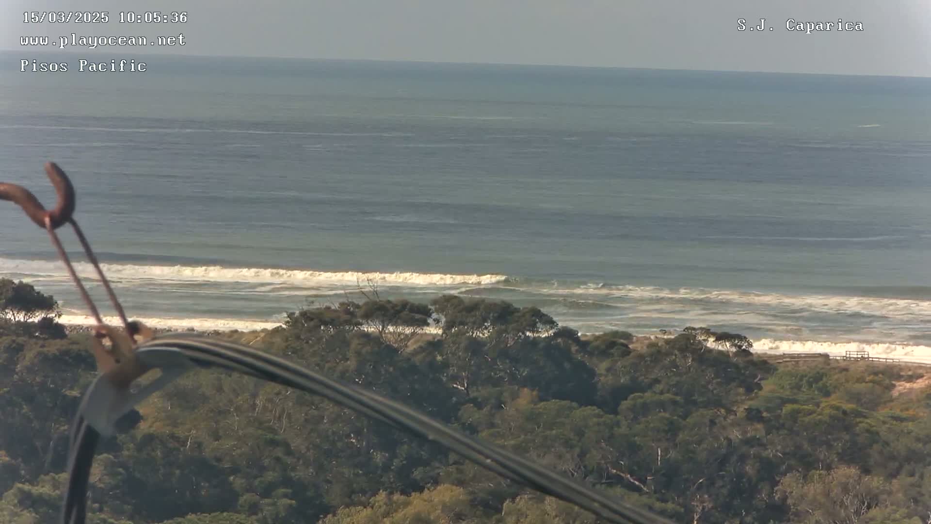 A view from a high vantage point shows a calm ocean with small waves breaking on a sandy shore lined with dark green trees under a clear sky.