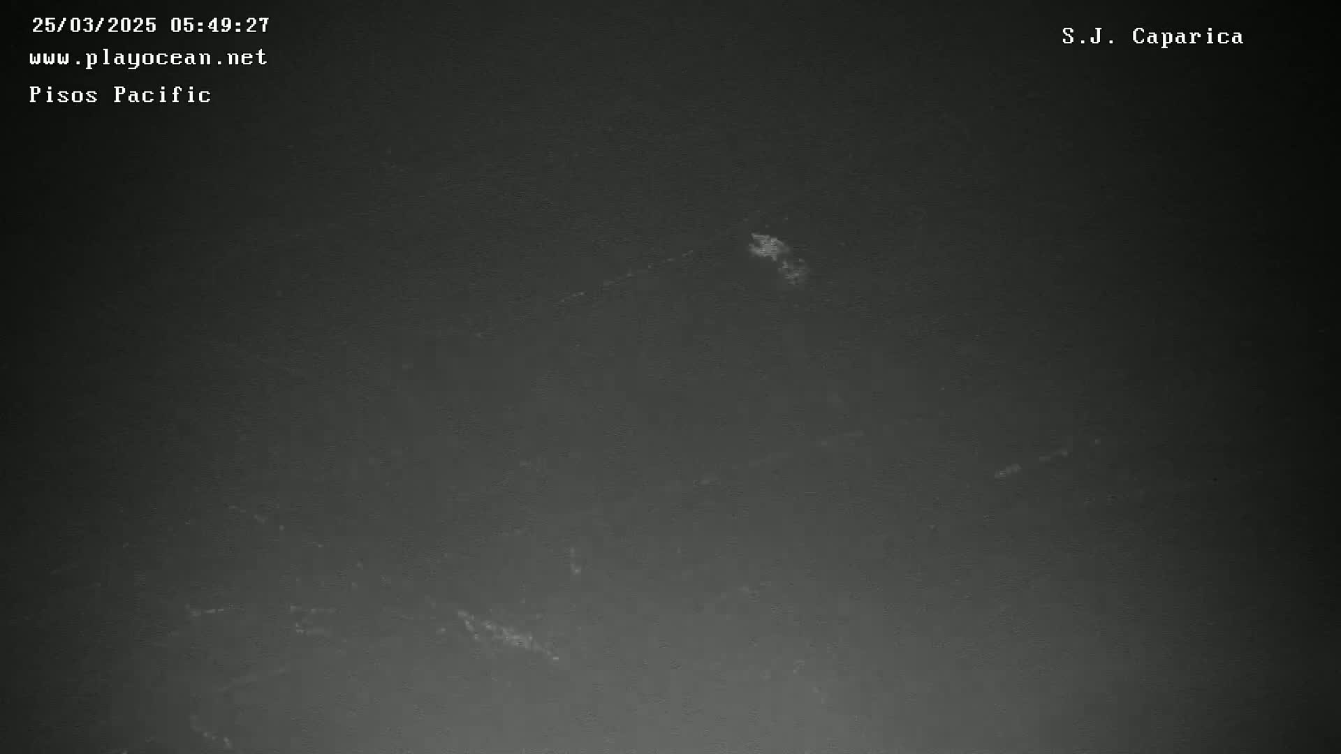 A dark gray, possibly nighttime, ocean surface shows slight wave activity.