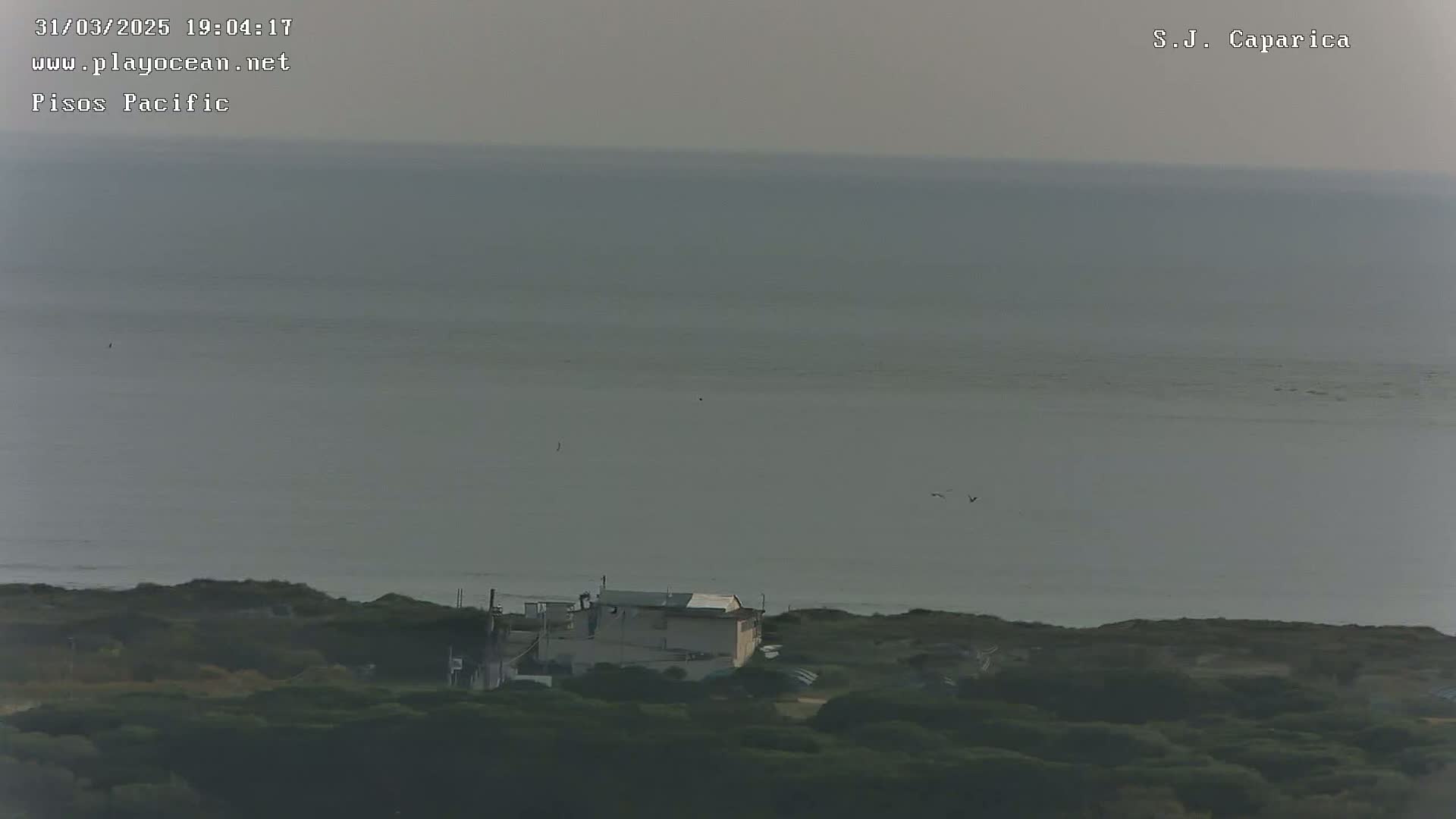 A hazy, overcast day shows a calm ocean with a building nestled among dark green vegetation near the shore.