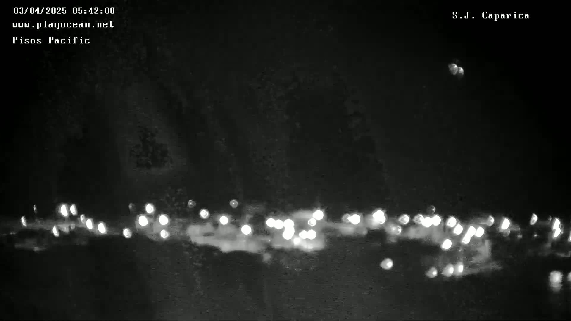 A nighttime, blurry image shows a line of out-of-focus lights against a dark background of trees.