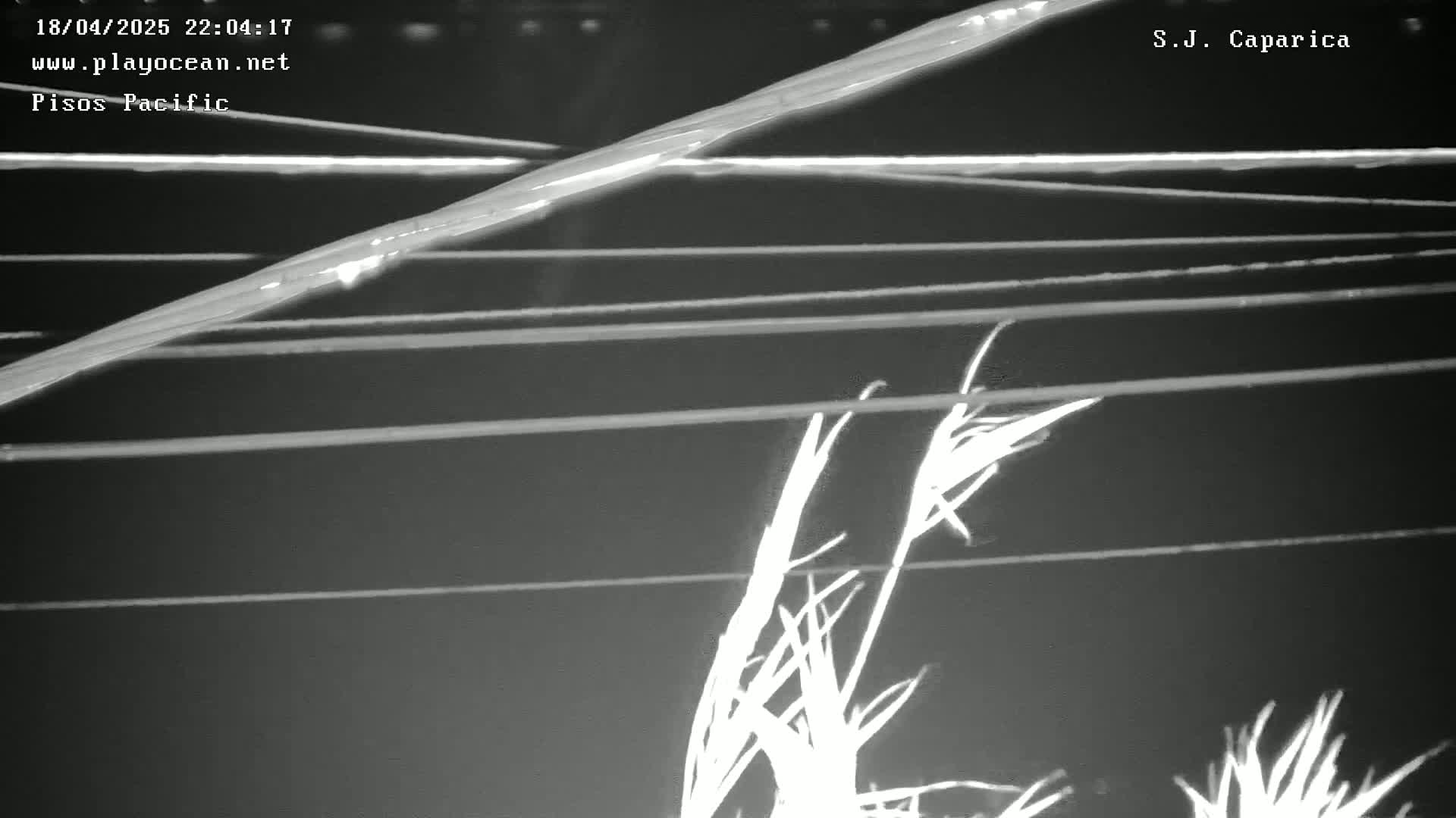 A nighttime, low-light image shows several horizontal lines, possibly wires, with a brighter, diagonal line crossing them, all set against a background of dark, possibly grassy vegetation.
