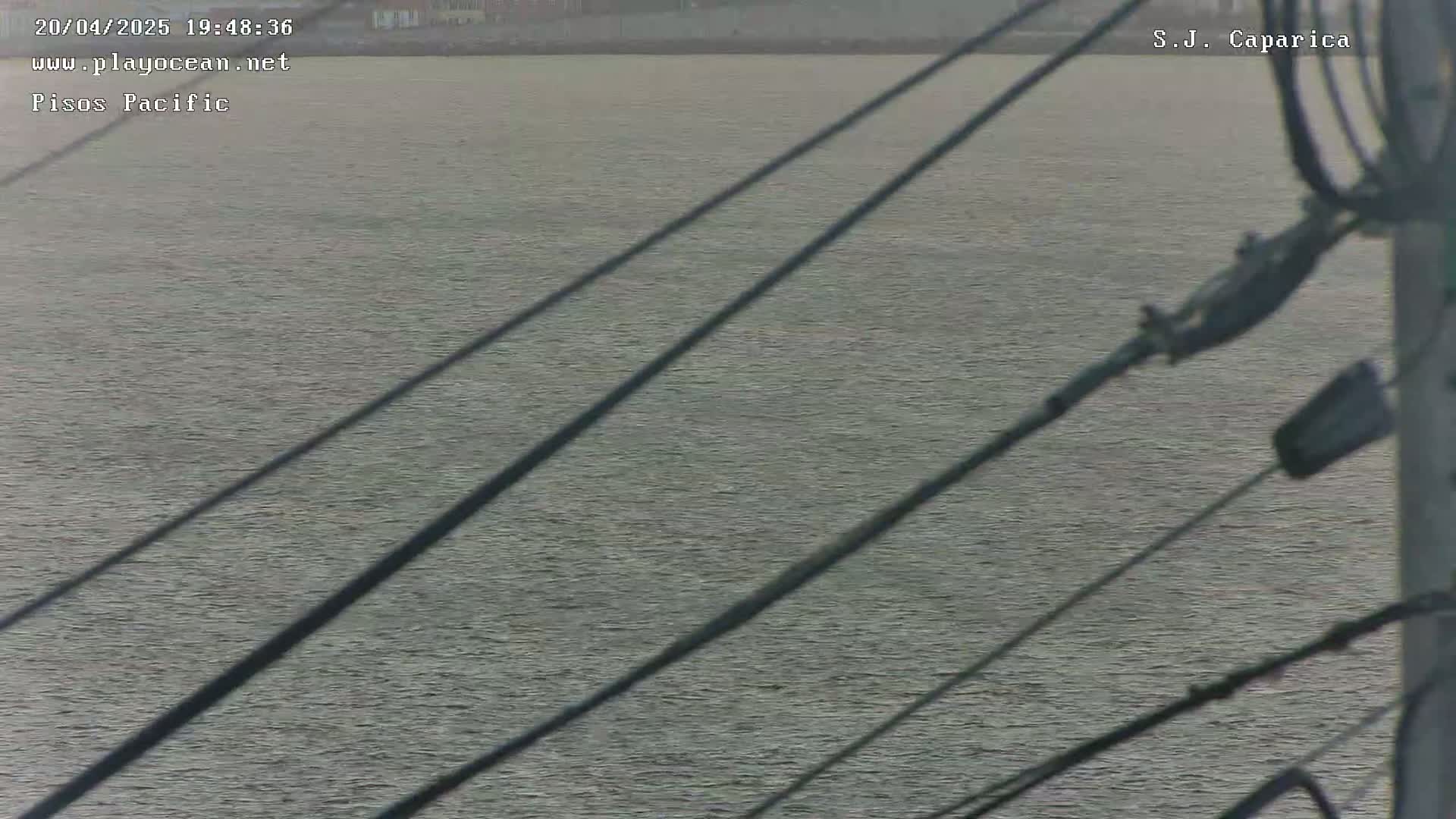A calm body of water is seen through the shadows of diagonal wires, likely from a power line.