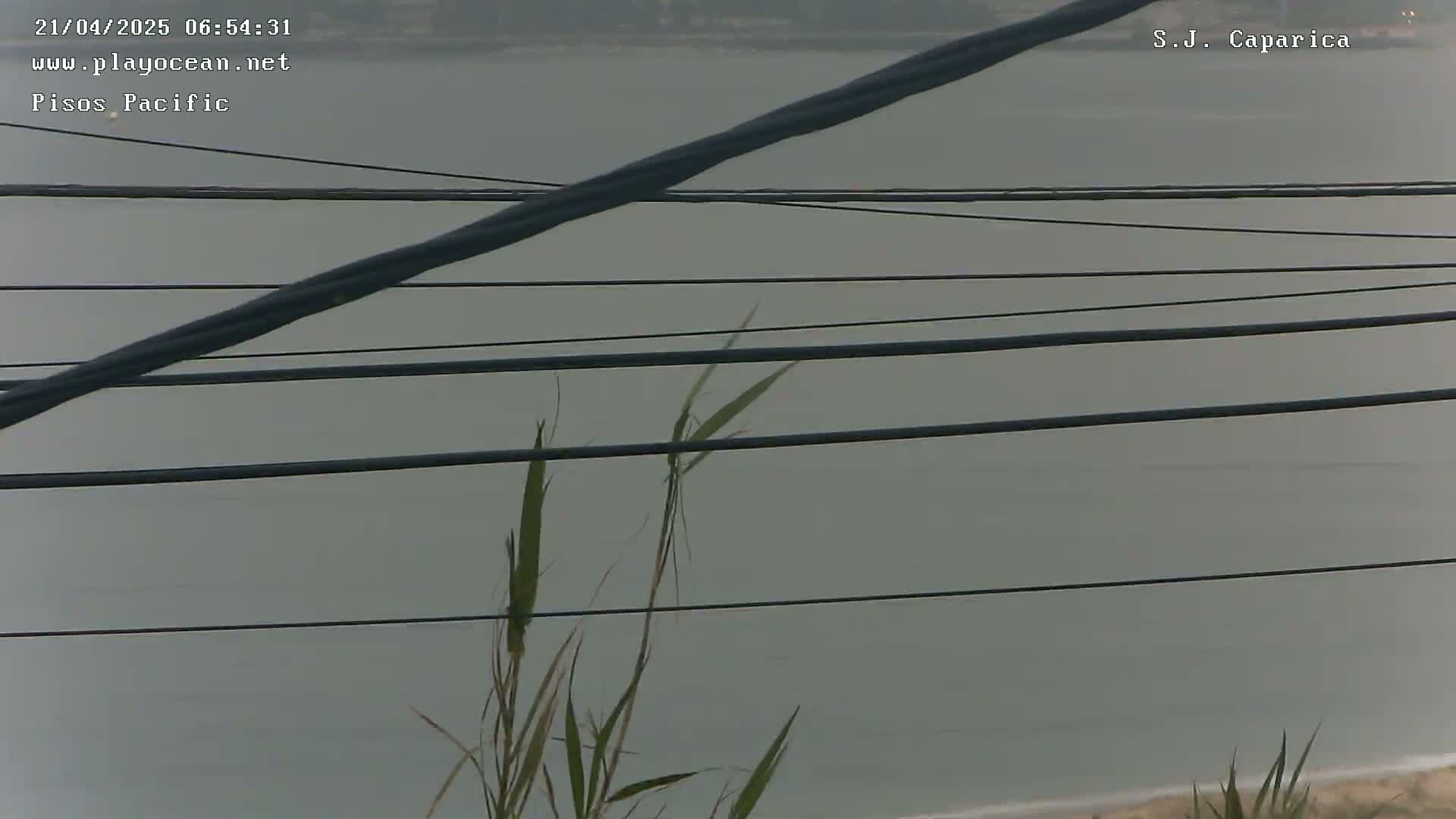 Several thick power lines stretch across a view of a calm, overcast body of water, with tall grass visible in the foreground.