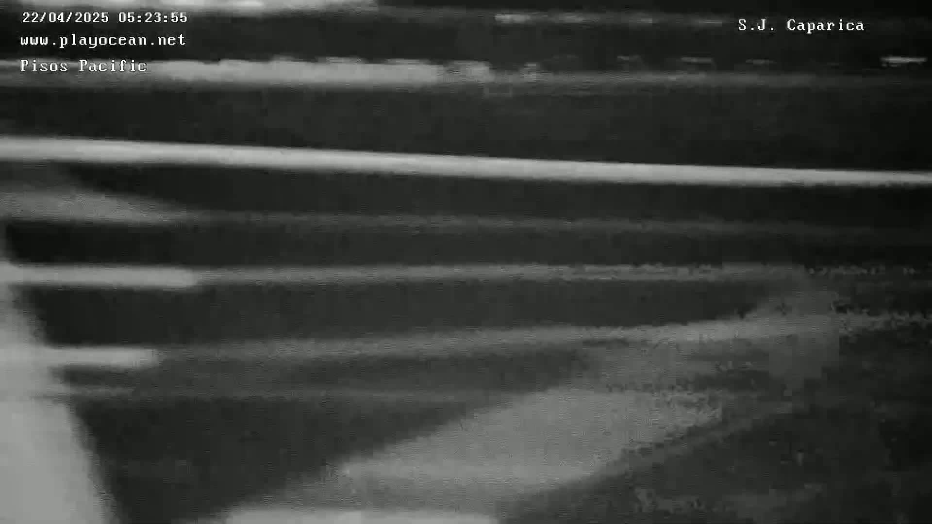 A blurry, nighttime, grayscale image shows horizontal lines suggestive of water or a similar surface.