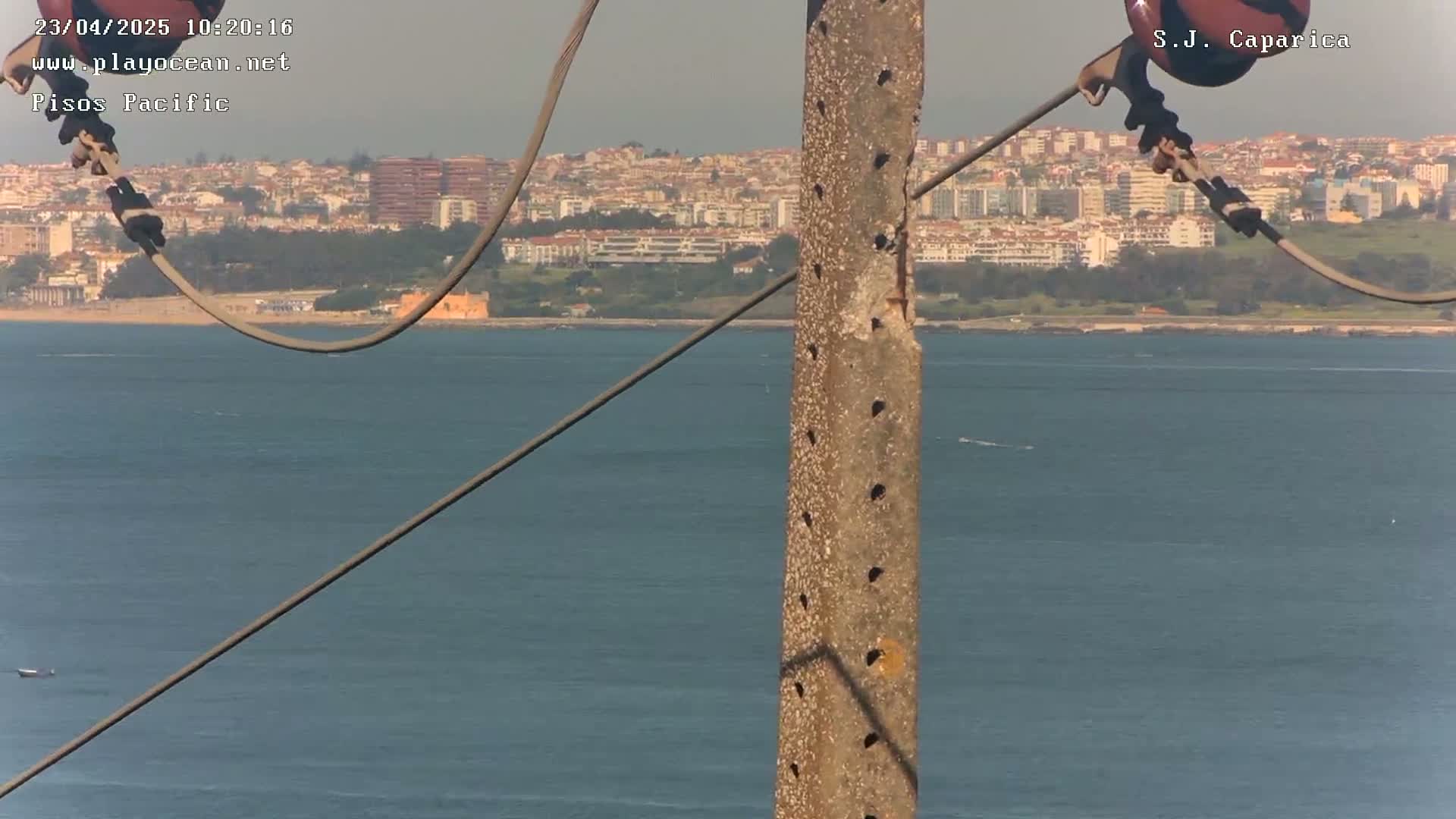 A weathered utility pole stands in the foreground, with a calm body of water and a distant cityscape visible on a sunny day.