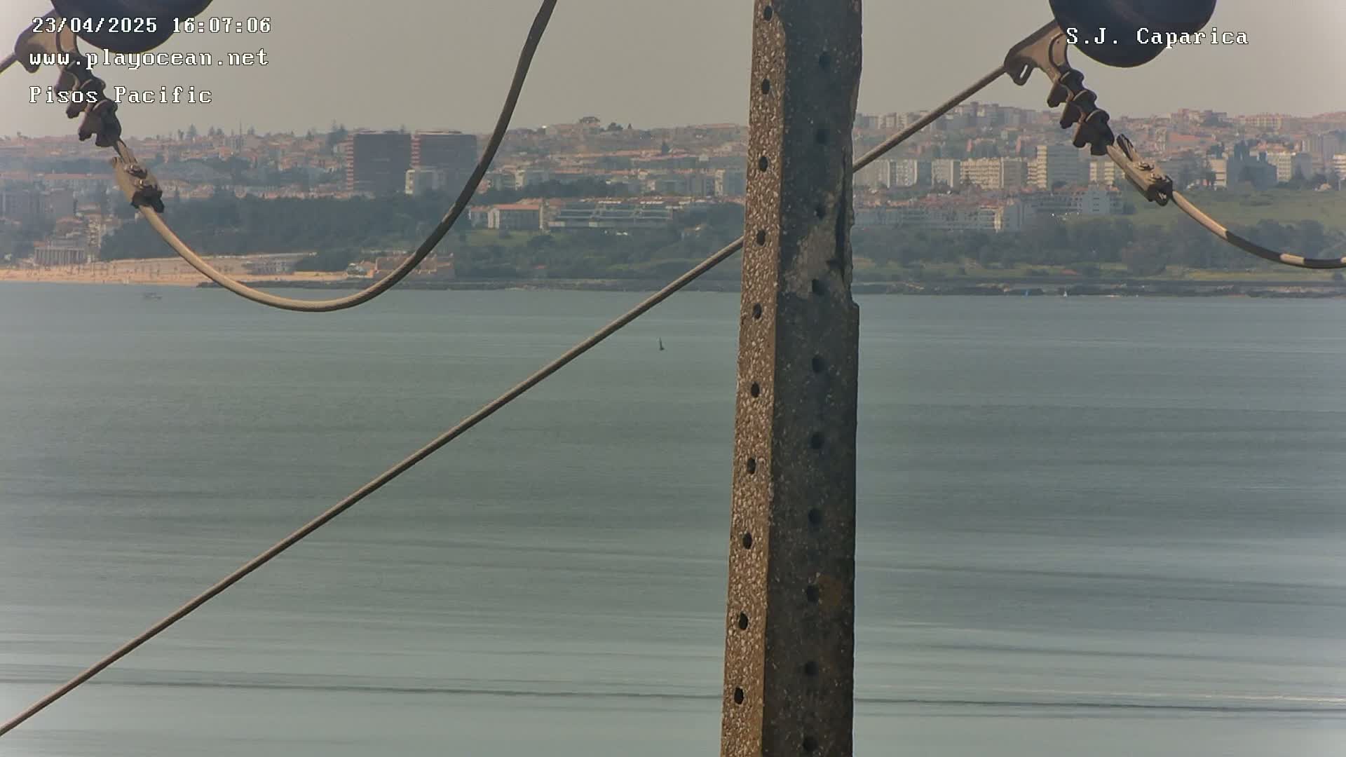 A weathered utility pole stands in the foreground, with a calm body of water and a distant cityscape visible under a hazy sky.