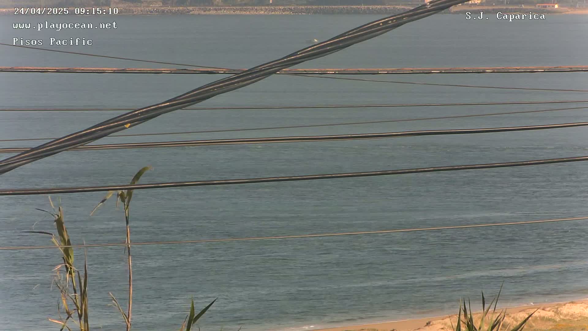 A calm body of water is seen from a distance, with several thick cables stretching across the view and vegetation in the foreground.