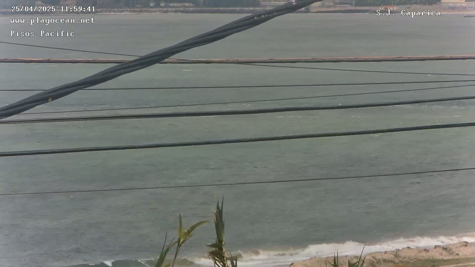 A body of water with small waves is seen from a distance, showing a sandy shoreline and several thick power lines in the foreground under an overcast sky.