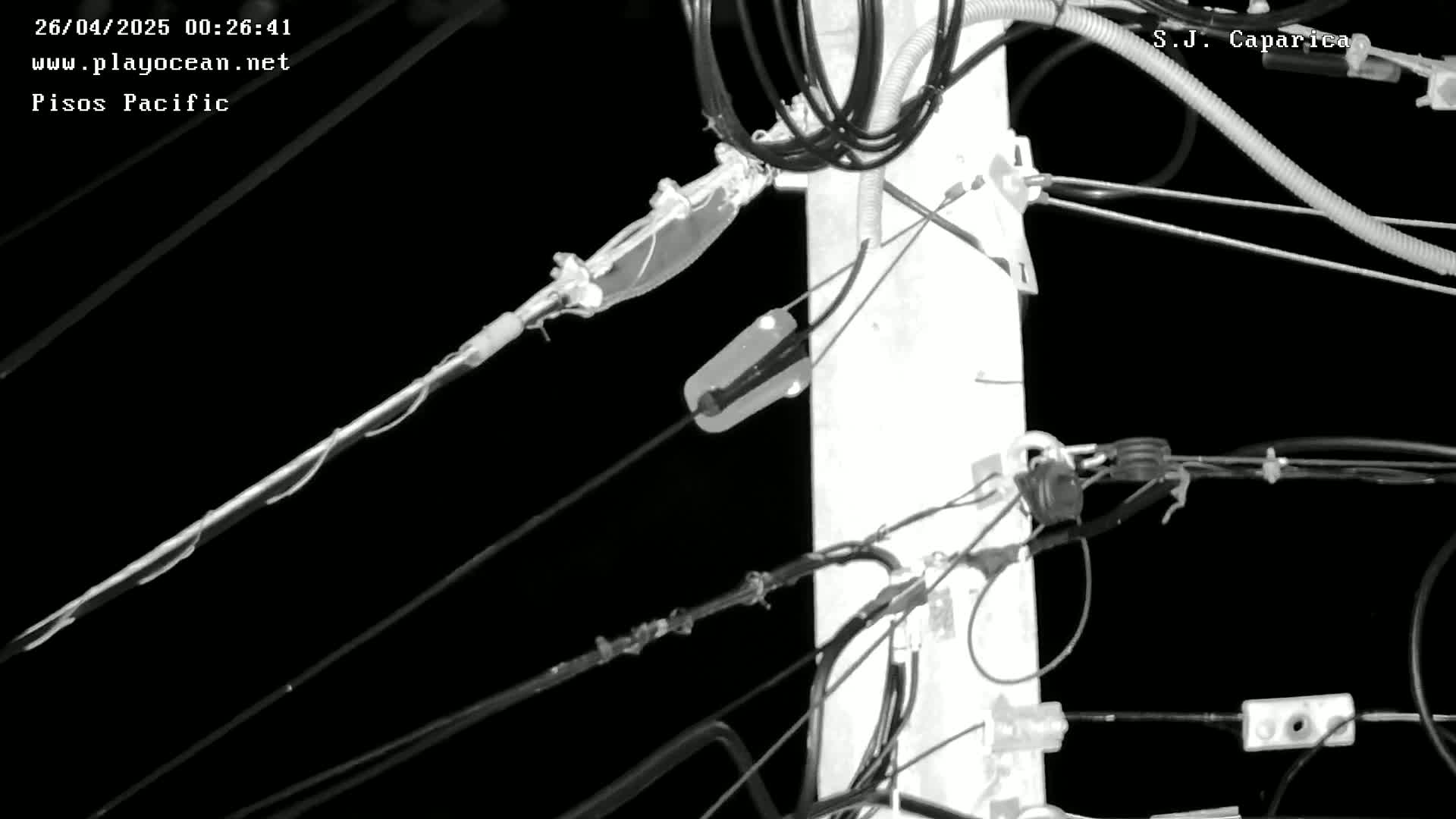 A close-up, nighttime, grayscale image shows numerous wires and cables attached to a utility pole against a completely black background.