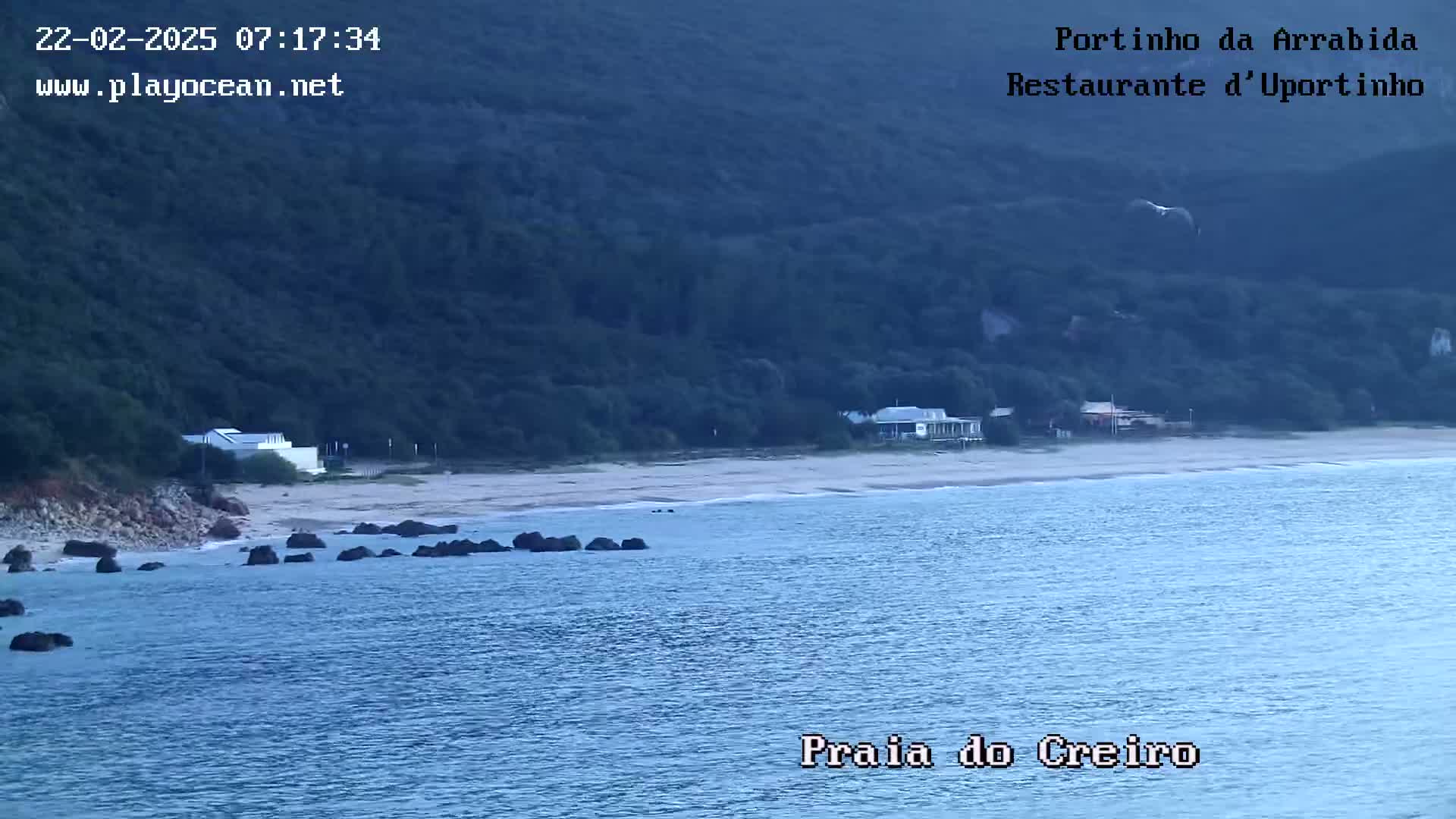 A sandy beach with calm water and a few buildings is nestled against a dark green hillside under a clear sky.