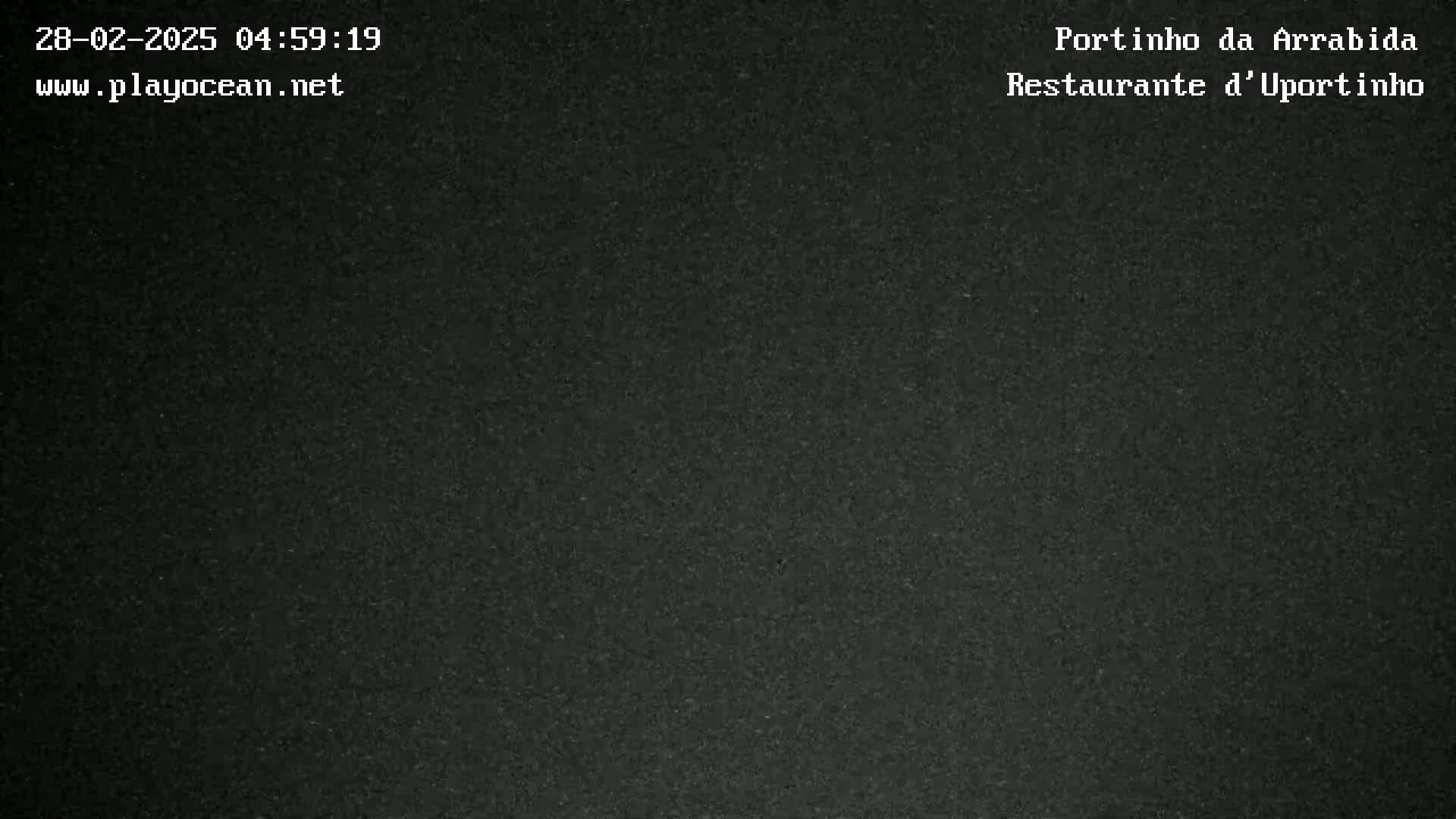 The image shows a uniformly dark gray or black textured surface.