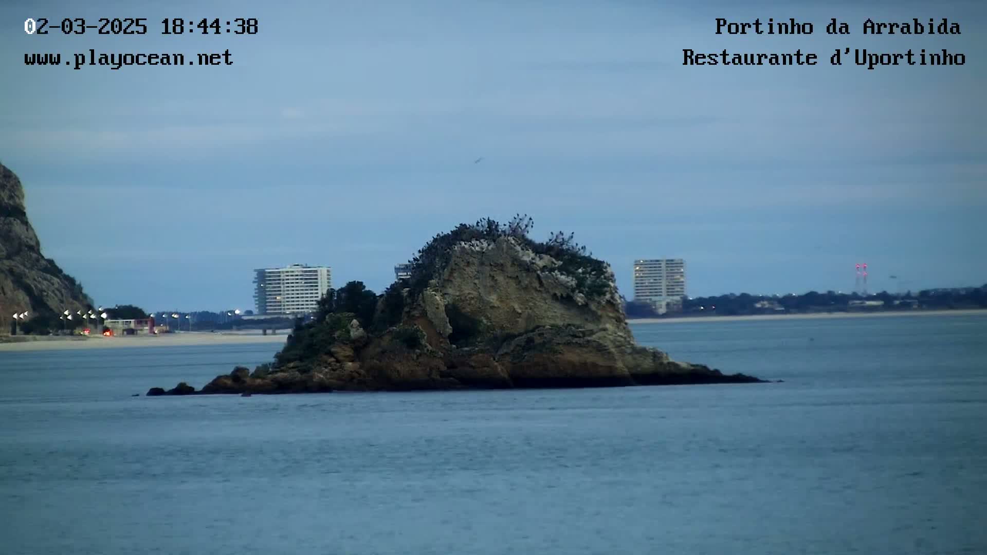 A rocky islet, populated by birds, sits in calm, dark blue water under a dusky sky, with buildings and a beach visible in the background.