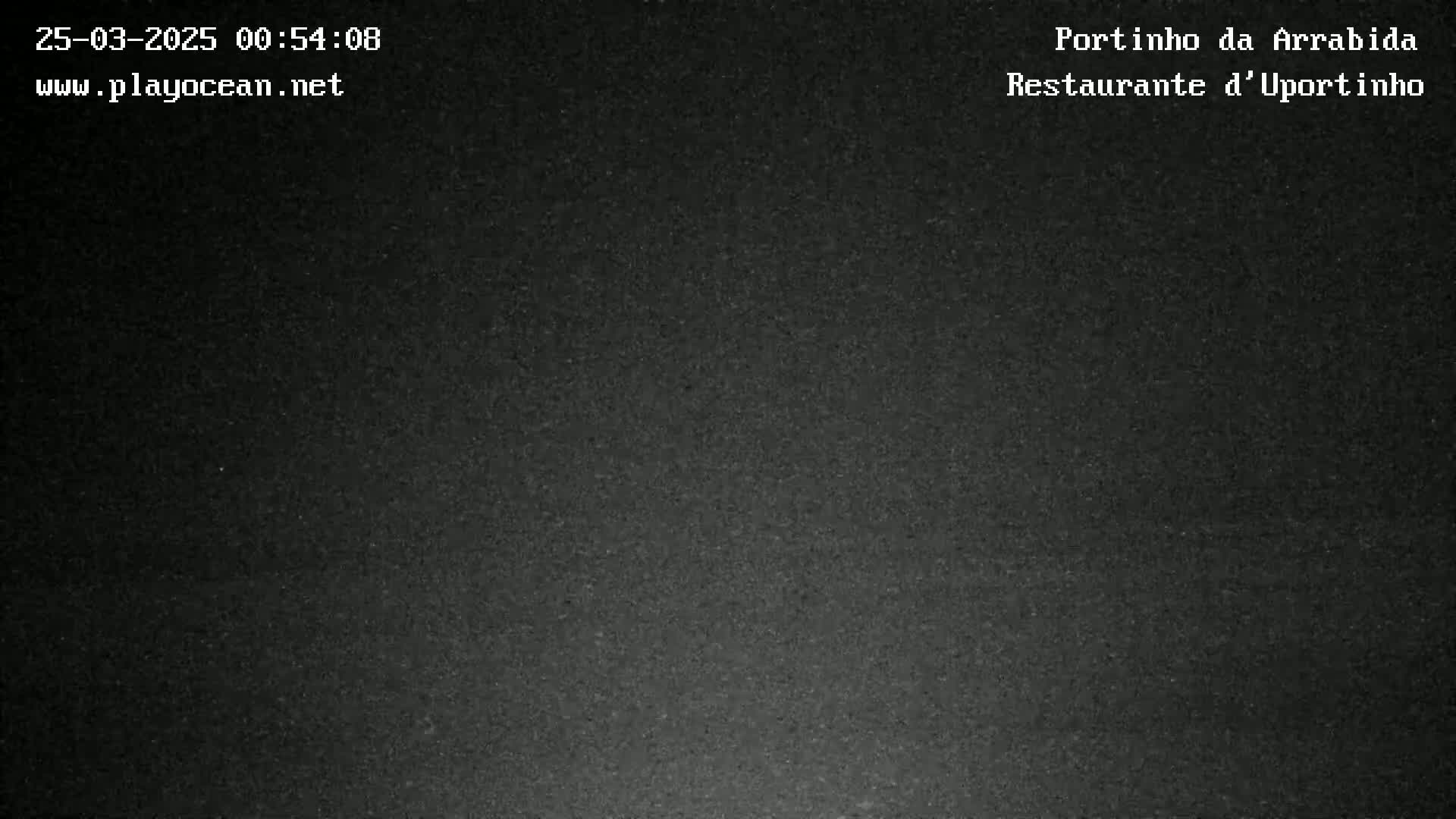 A grainy, dark image shows a mostly featureless night scene.