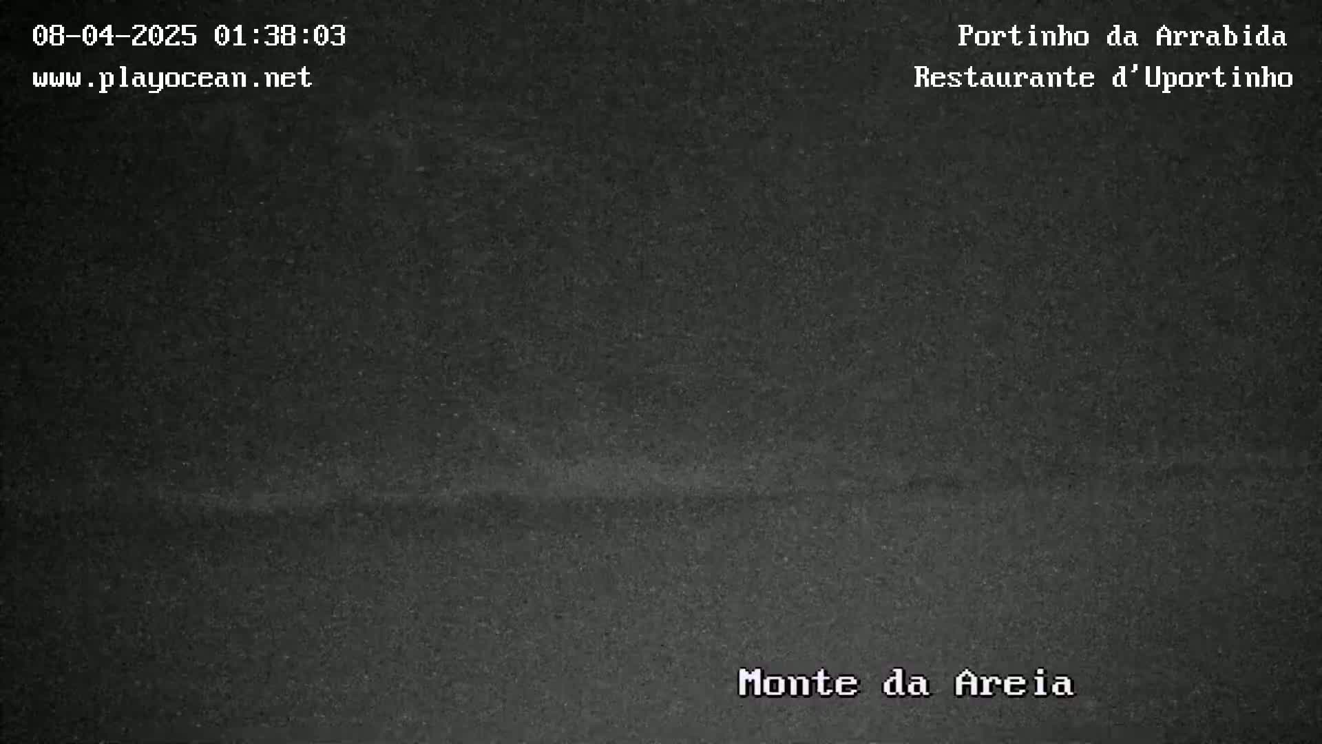 A dark, grainy image shows a mostly black landscape at night.