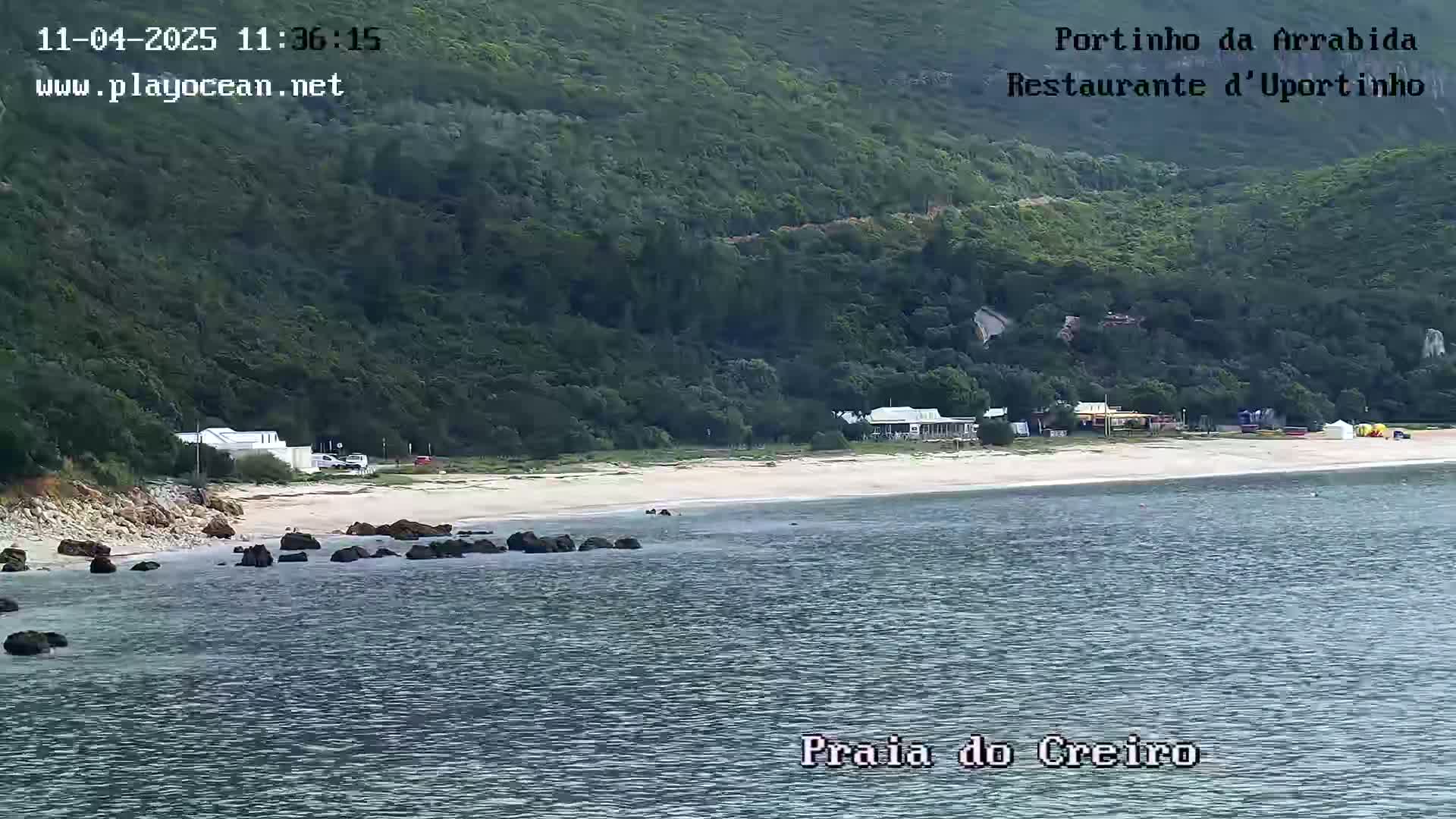 A sandy beach with calm water and a few buildings is nestled below a lush green hillside on a sunny day.