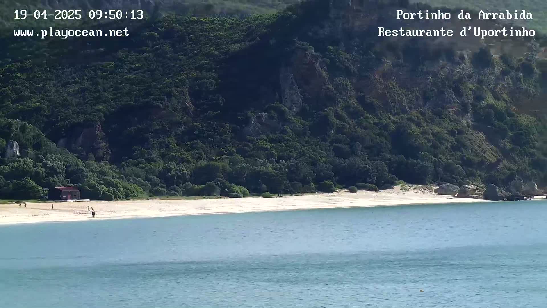 A sandy beach, backed by lush green vegetation and rocky cliffs, meets calm blue water on a sunny day.