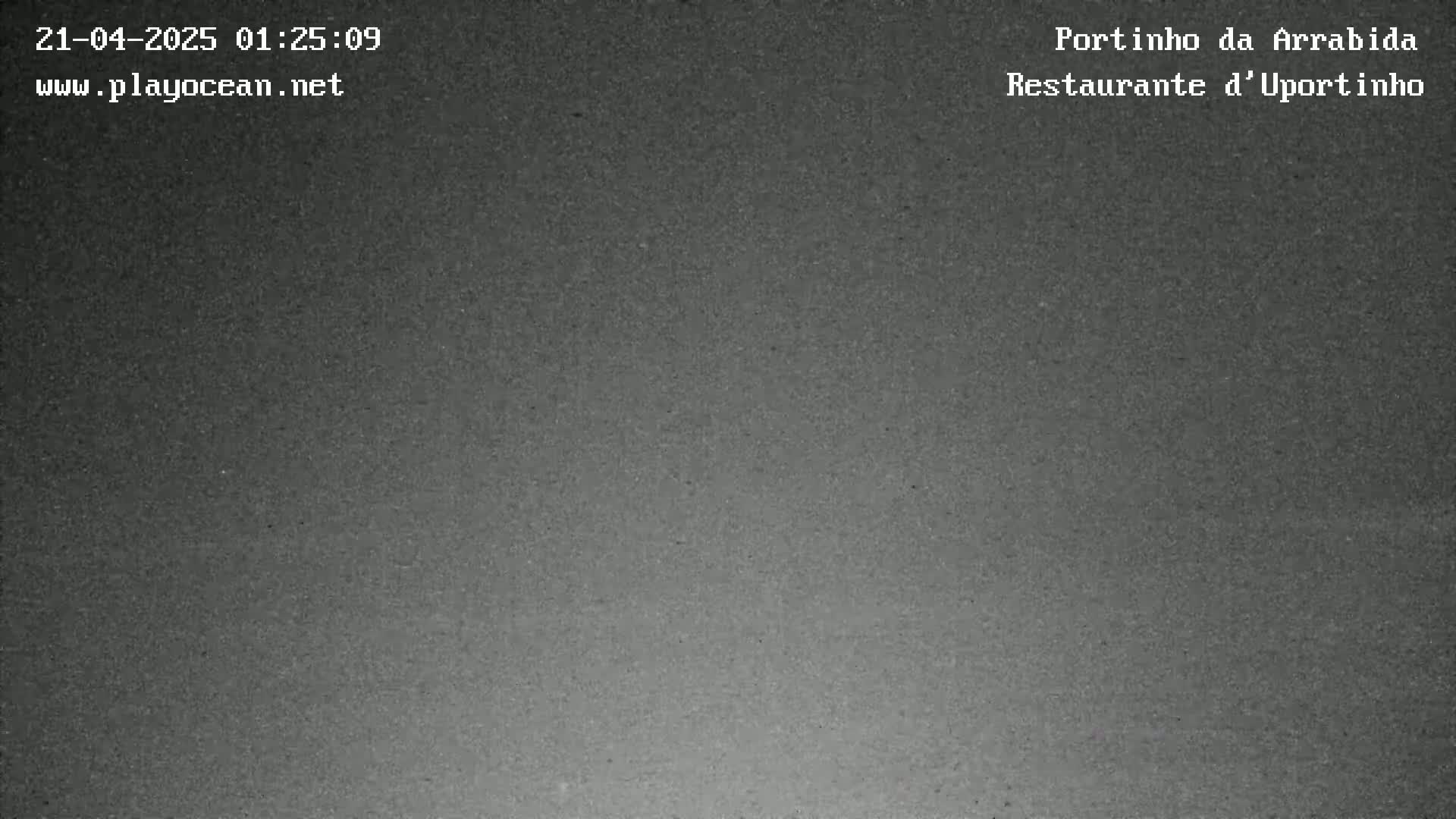 A grainy, dark gray image shows a mostly featureless, dimly lit outdoor scene at night.
