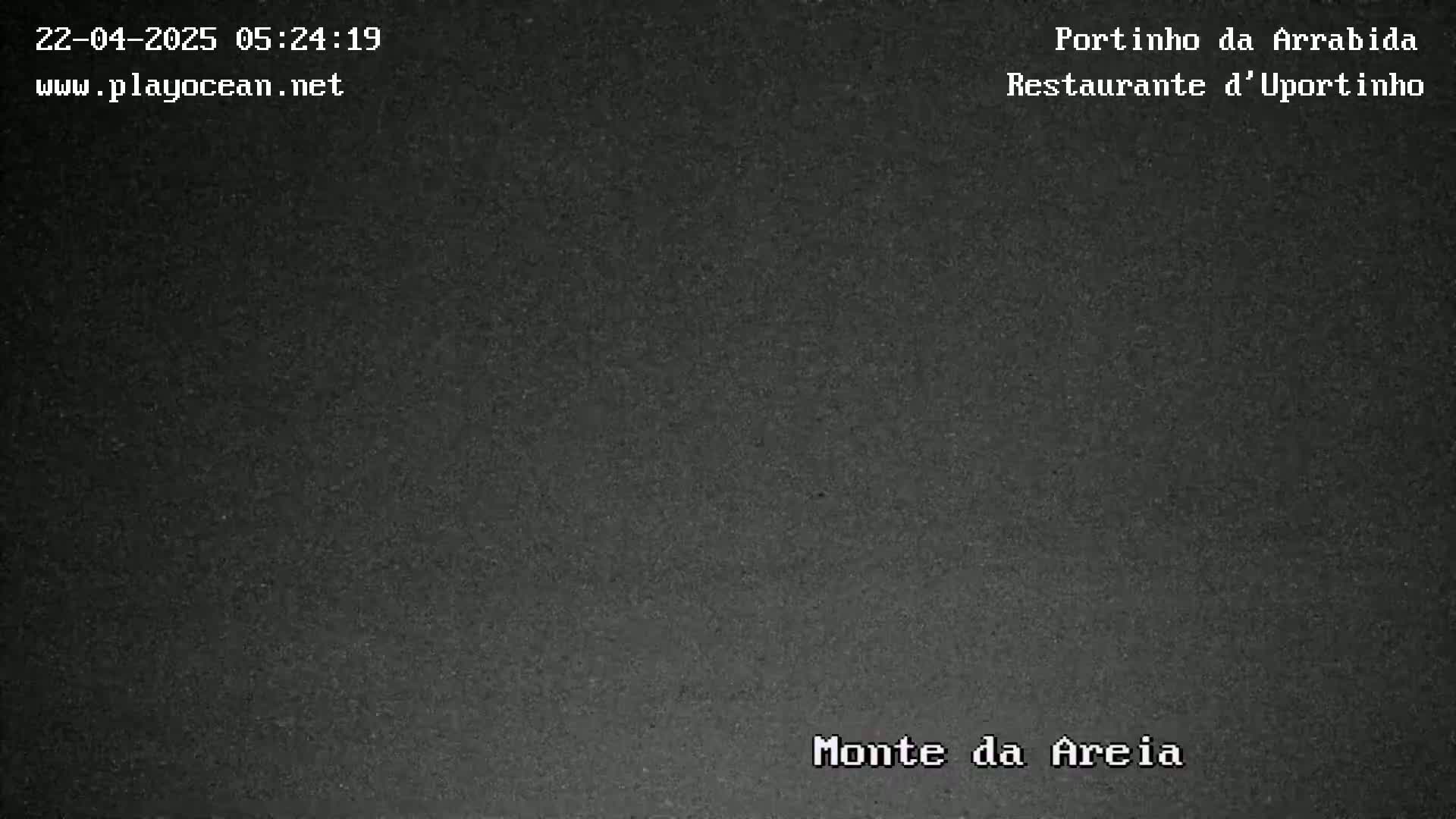 A grainy, dark image shows a nighttime, outdoor scene with poor visibility.