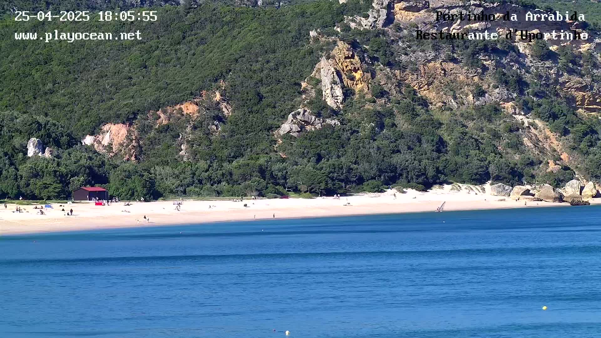 A sandy beach with a few people on it sits below a verdant cliff face, all bordering a calm blue ocean.