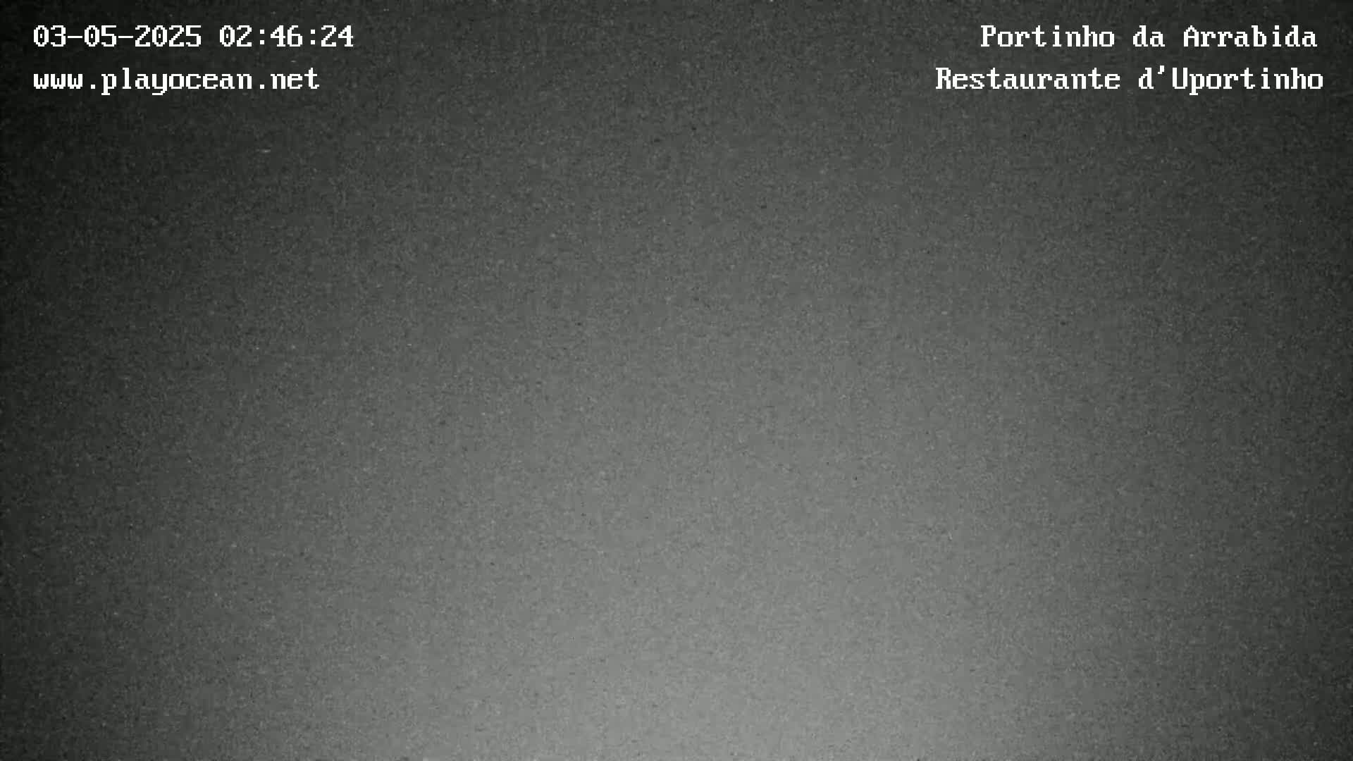 A grainy, dark gray image shows a uniformly colored surface.