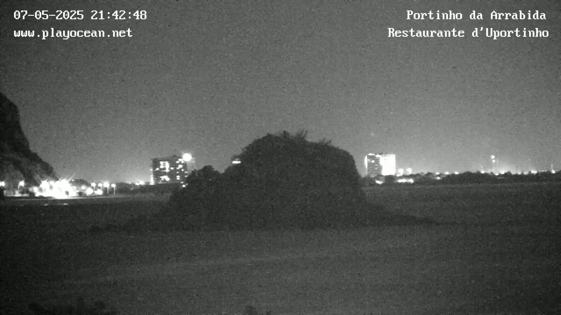 A nighttime, low-light grayscale image shows a dark, indistinct hill or mound in the foreground, with city lights and buildings visible in the background under a clear, dark sky.